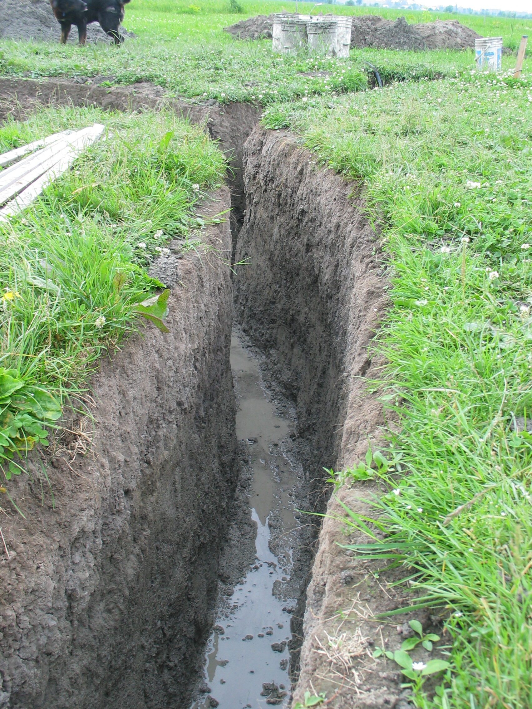 20080626-082348-Landscape-2008