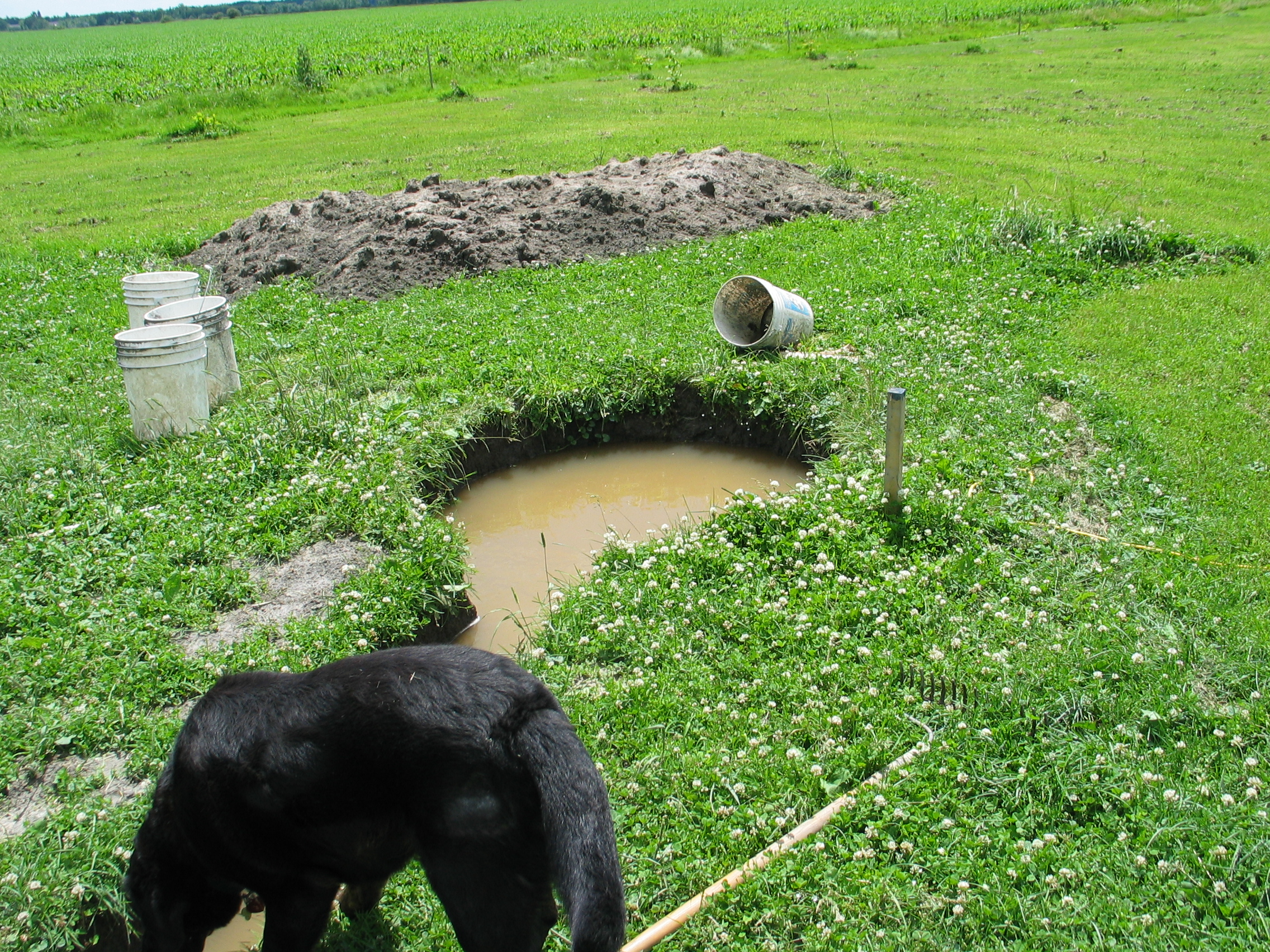 20080630-122451-Unknown-2008