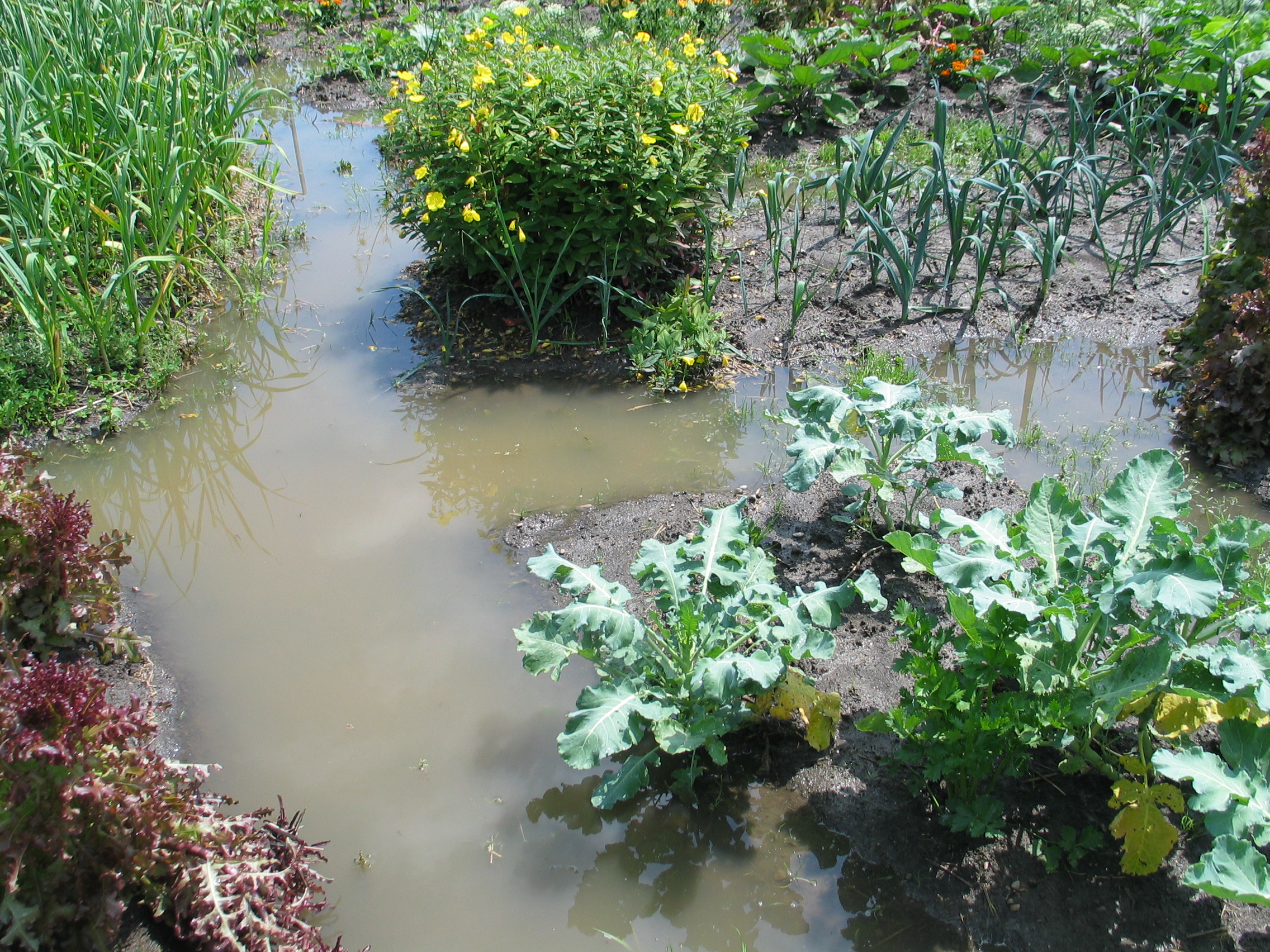 20080719-114255-Unknown-2008