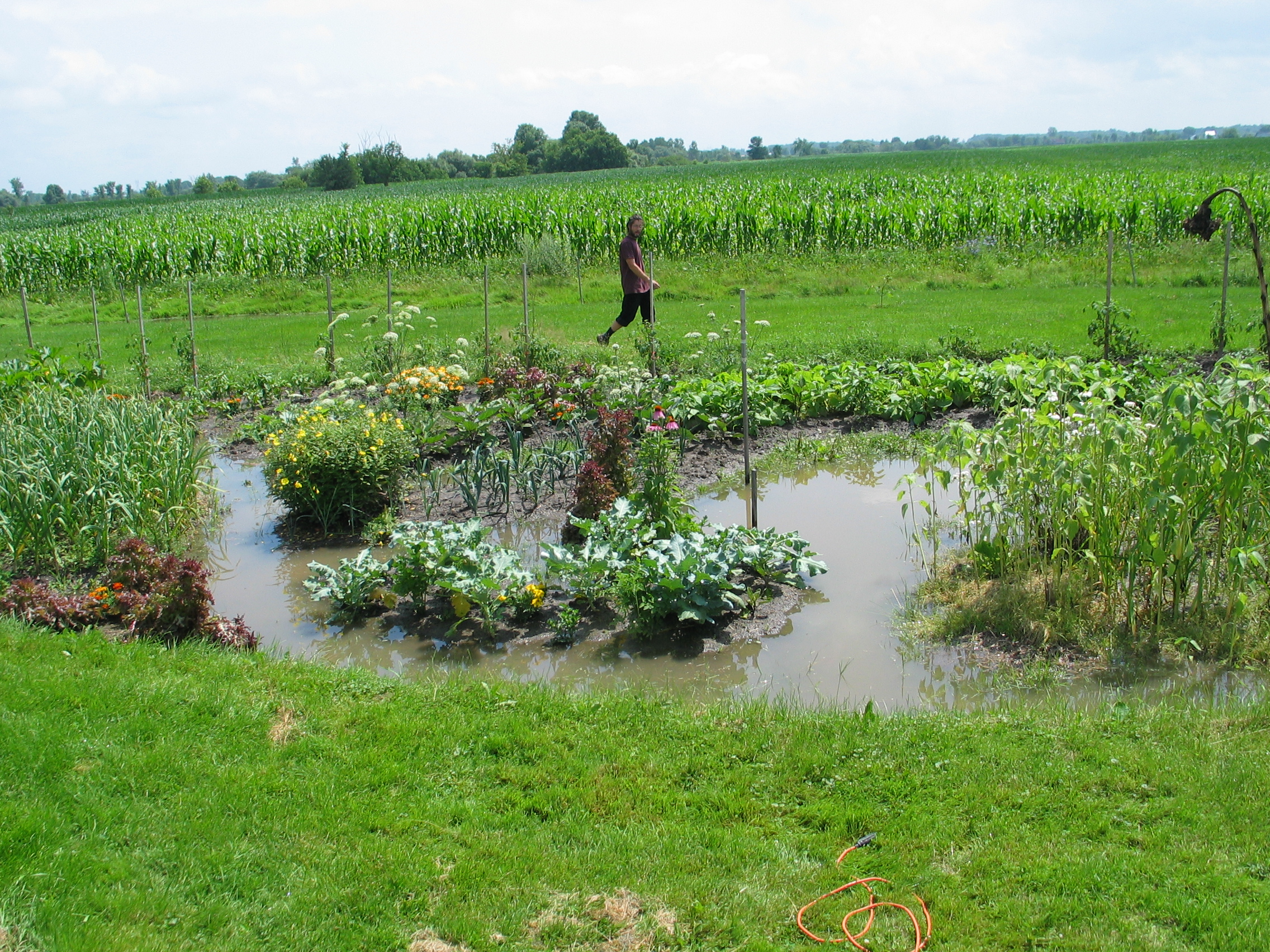 20080719-114333-Unknown-2008