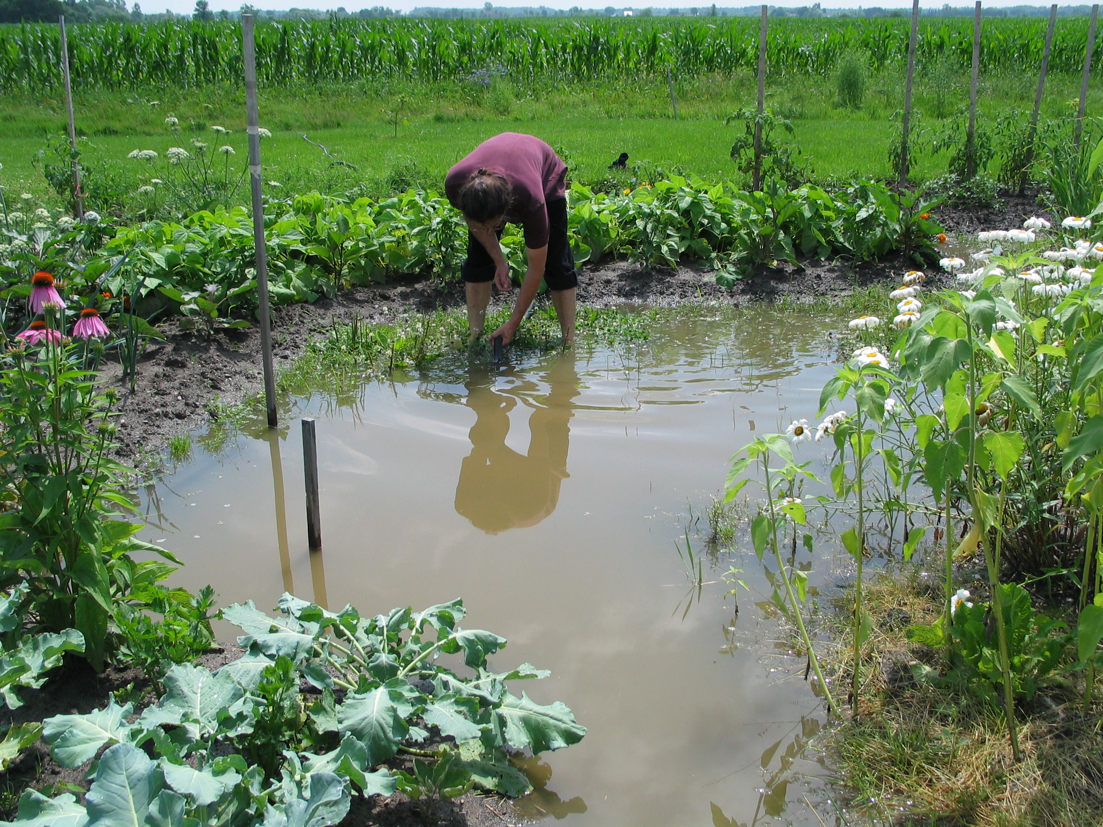 20080719-114438-Unknown-2008