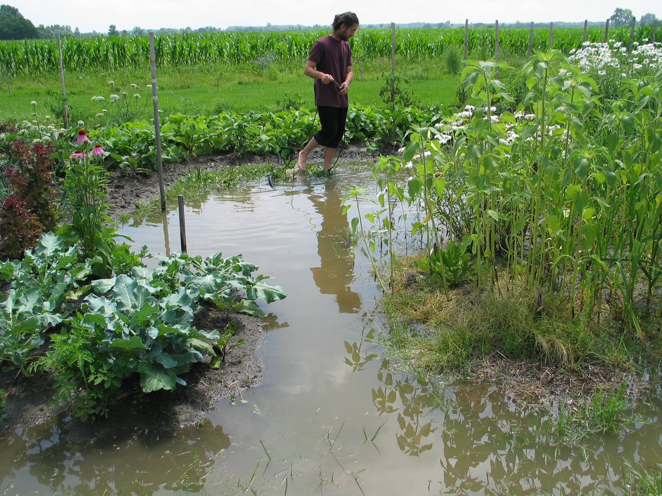 20080719-114459-Lakeside-2008