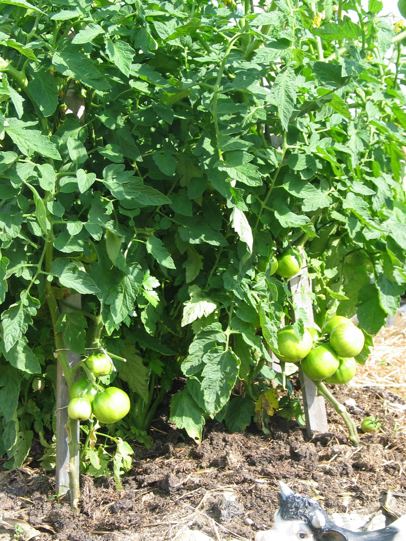 20090811-154929-Unknown-2009