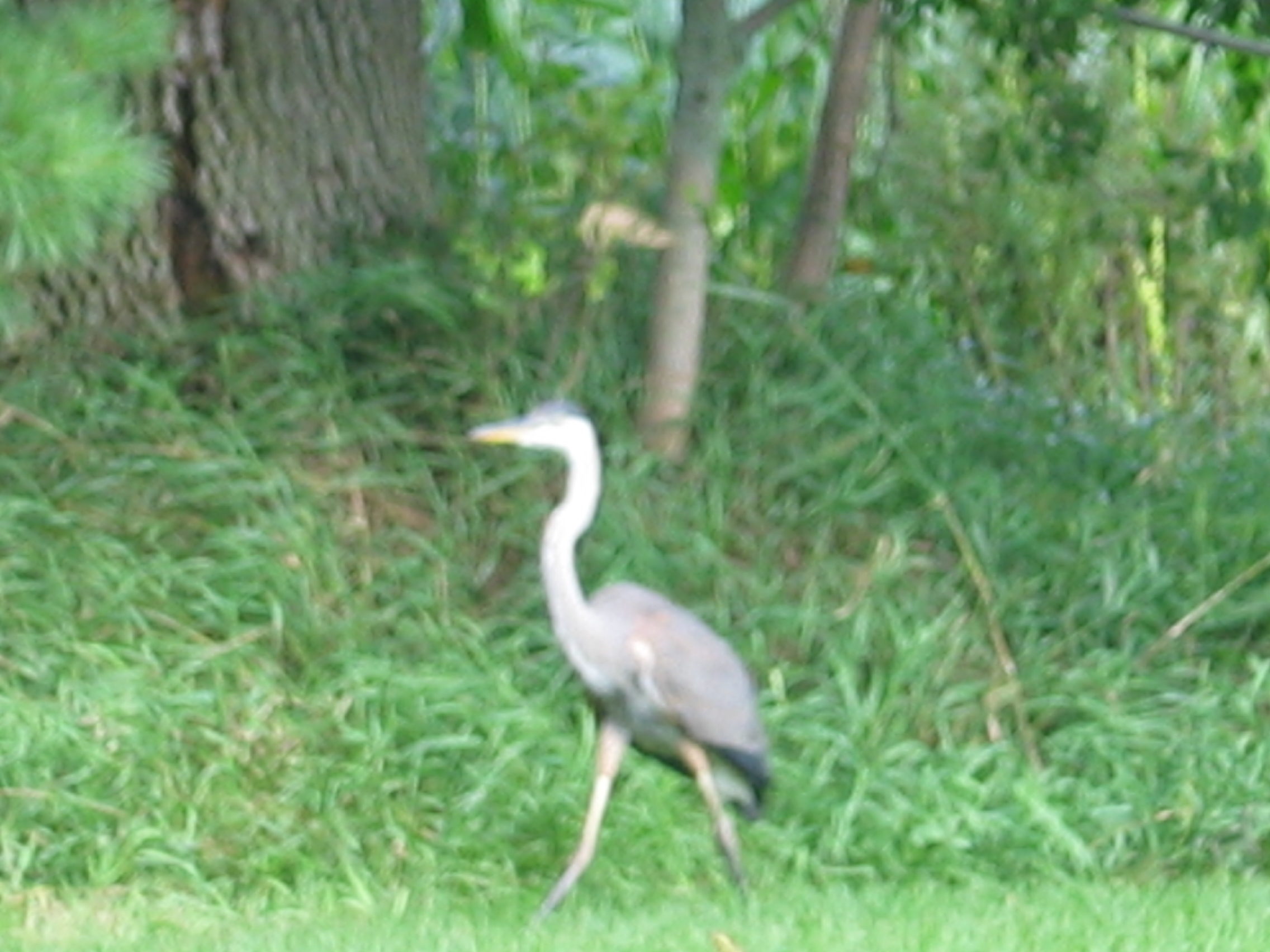 20090830-144006-Unknown-2009