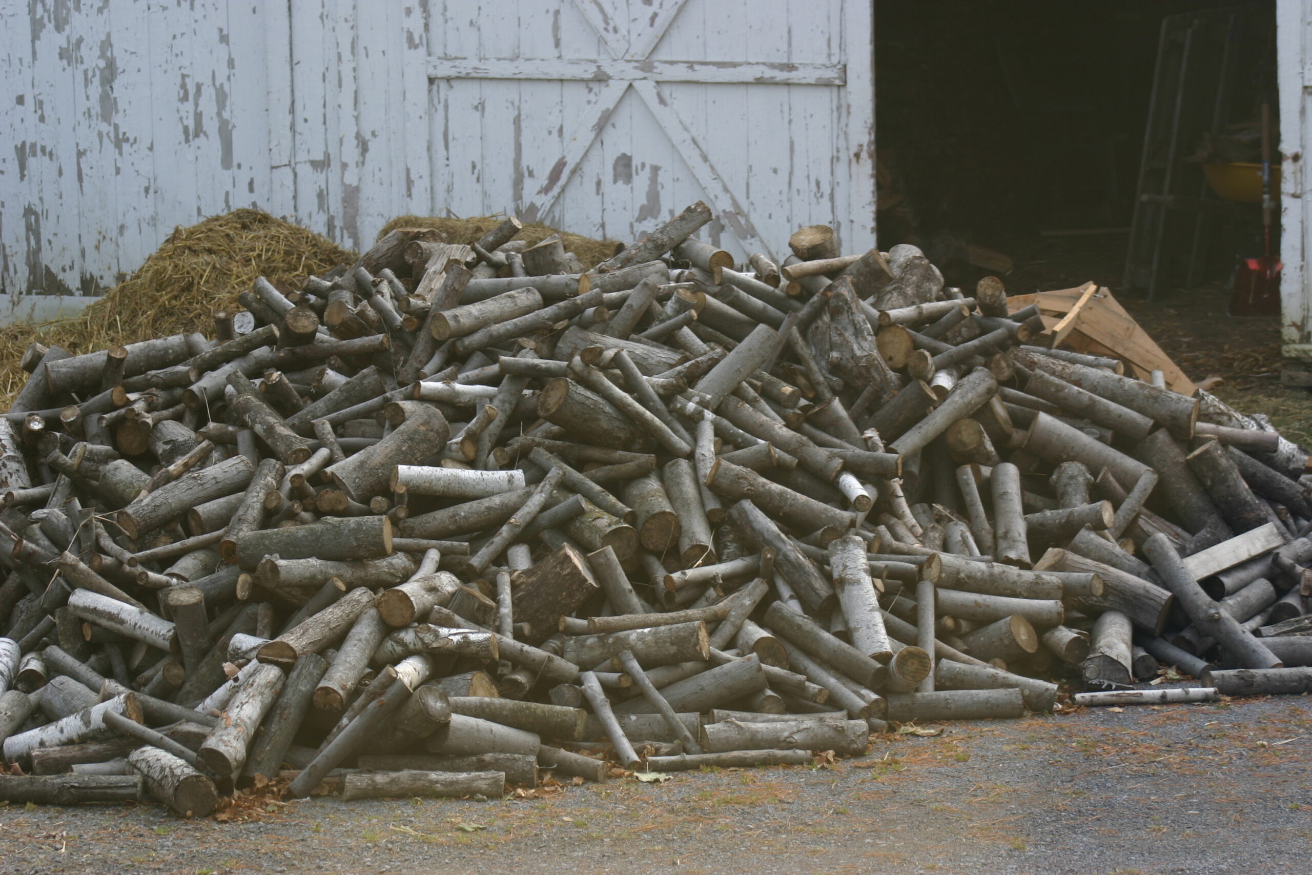 20091105-105516-Unknown-2009