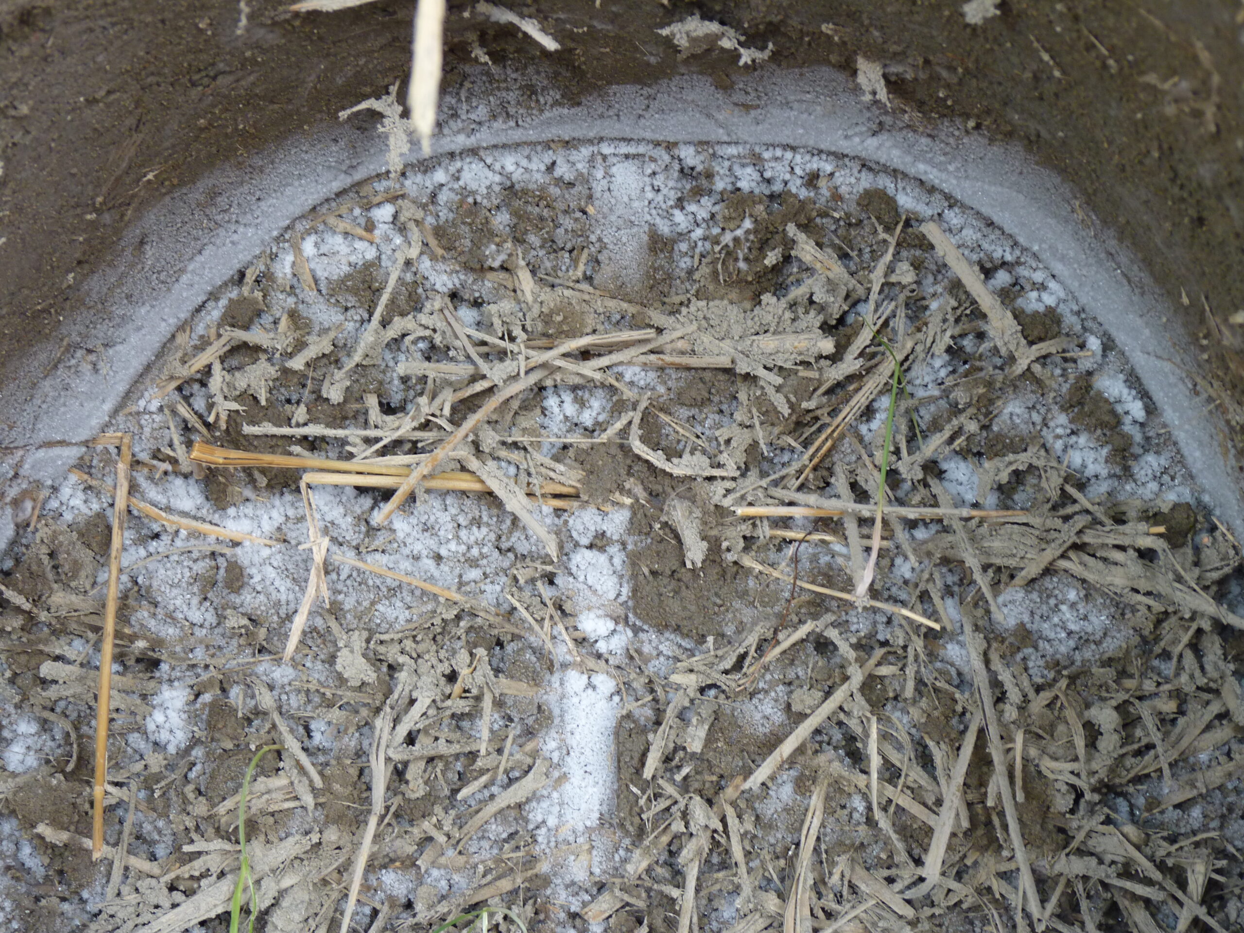 20091219-121156-Unknown-2009