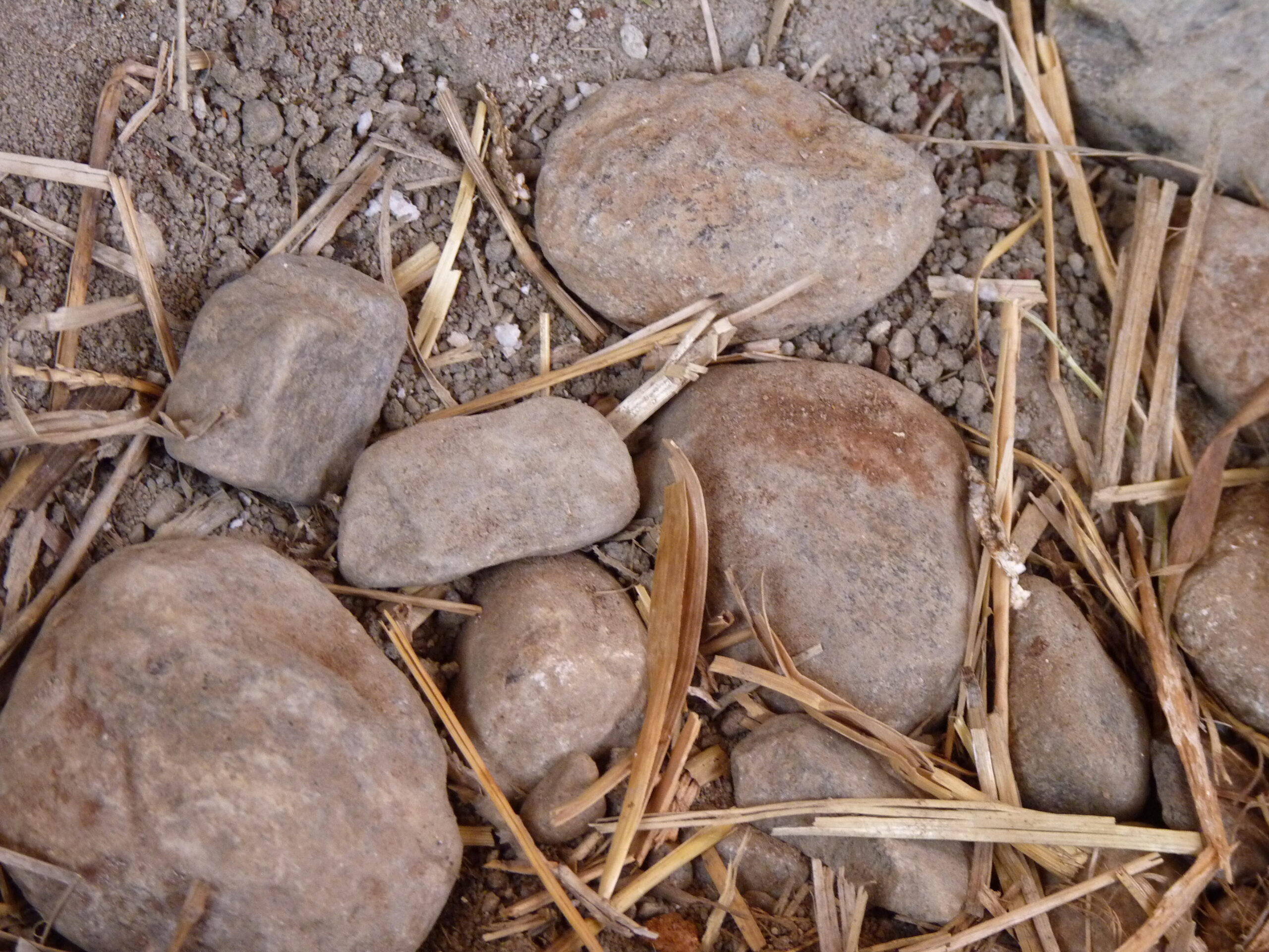 20091224-154044-Unknown-2009