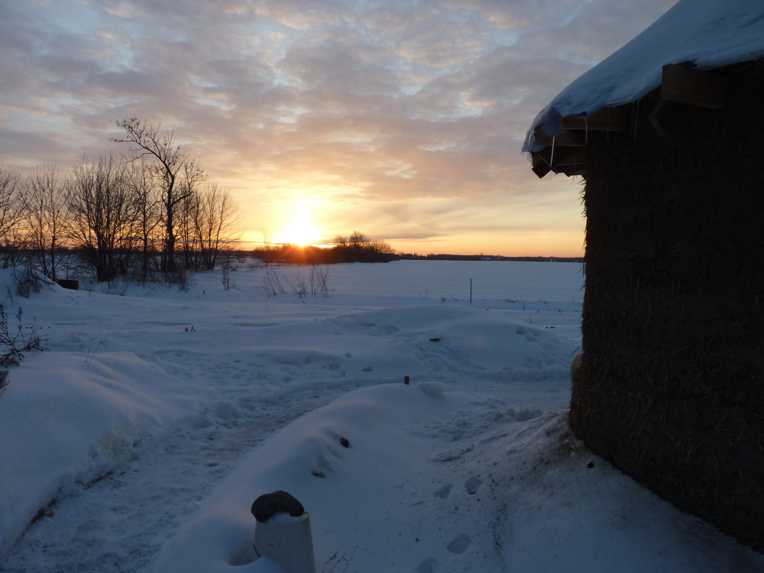 20091230-074533-Unknown-2009