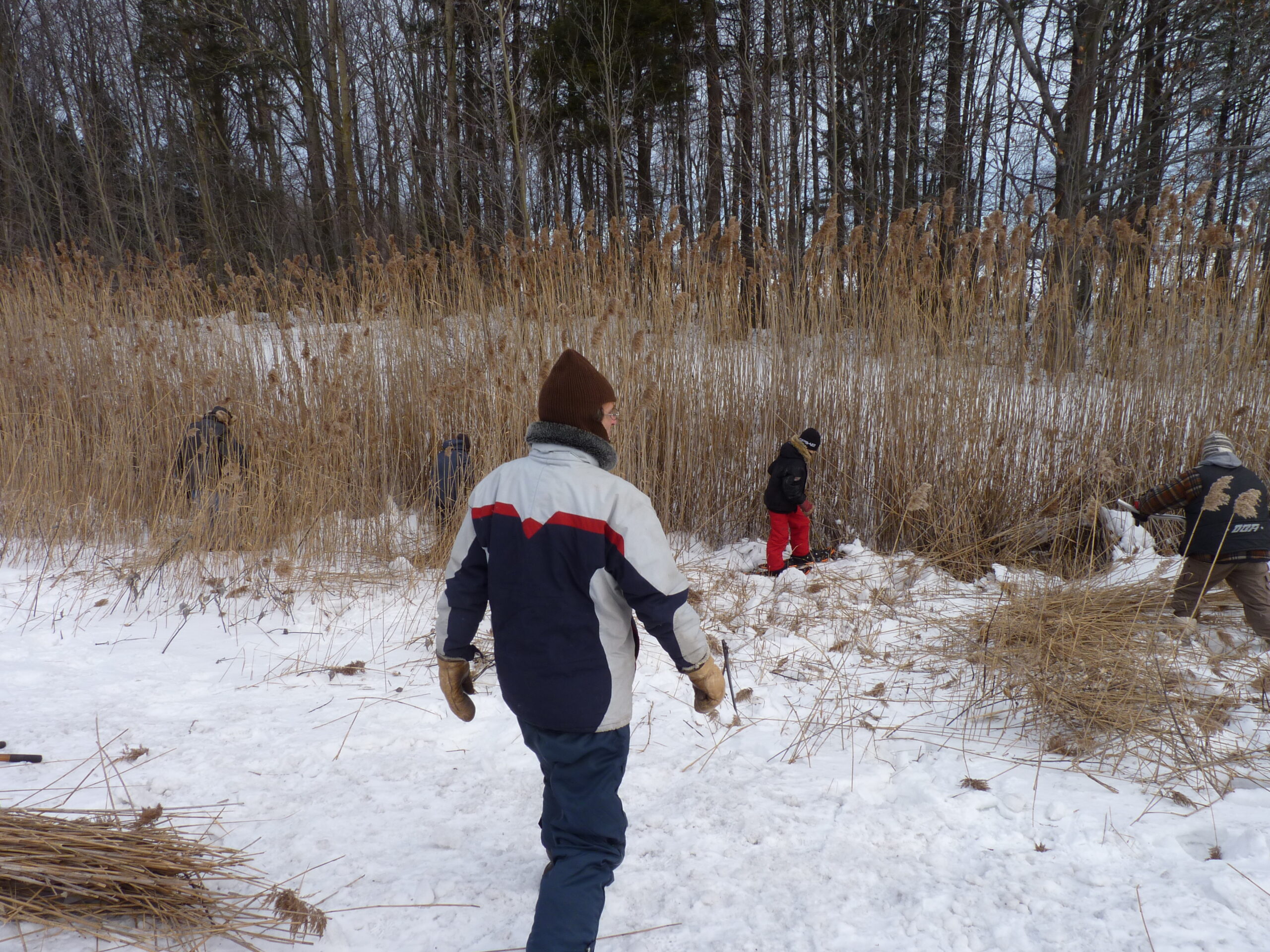 20091230-100816-Unknown-2009