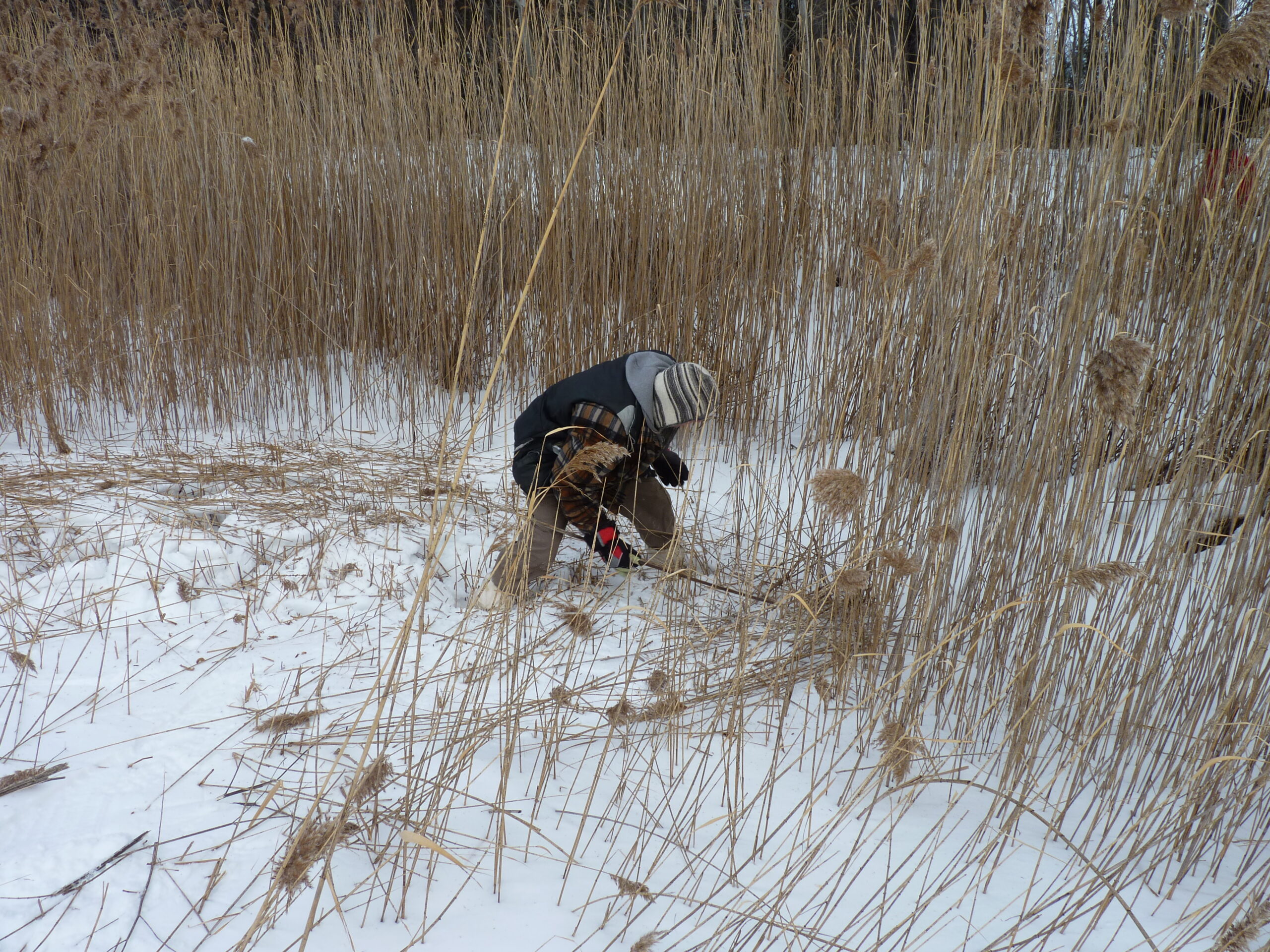 20091230-102326-Unknown-2009