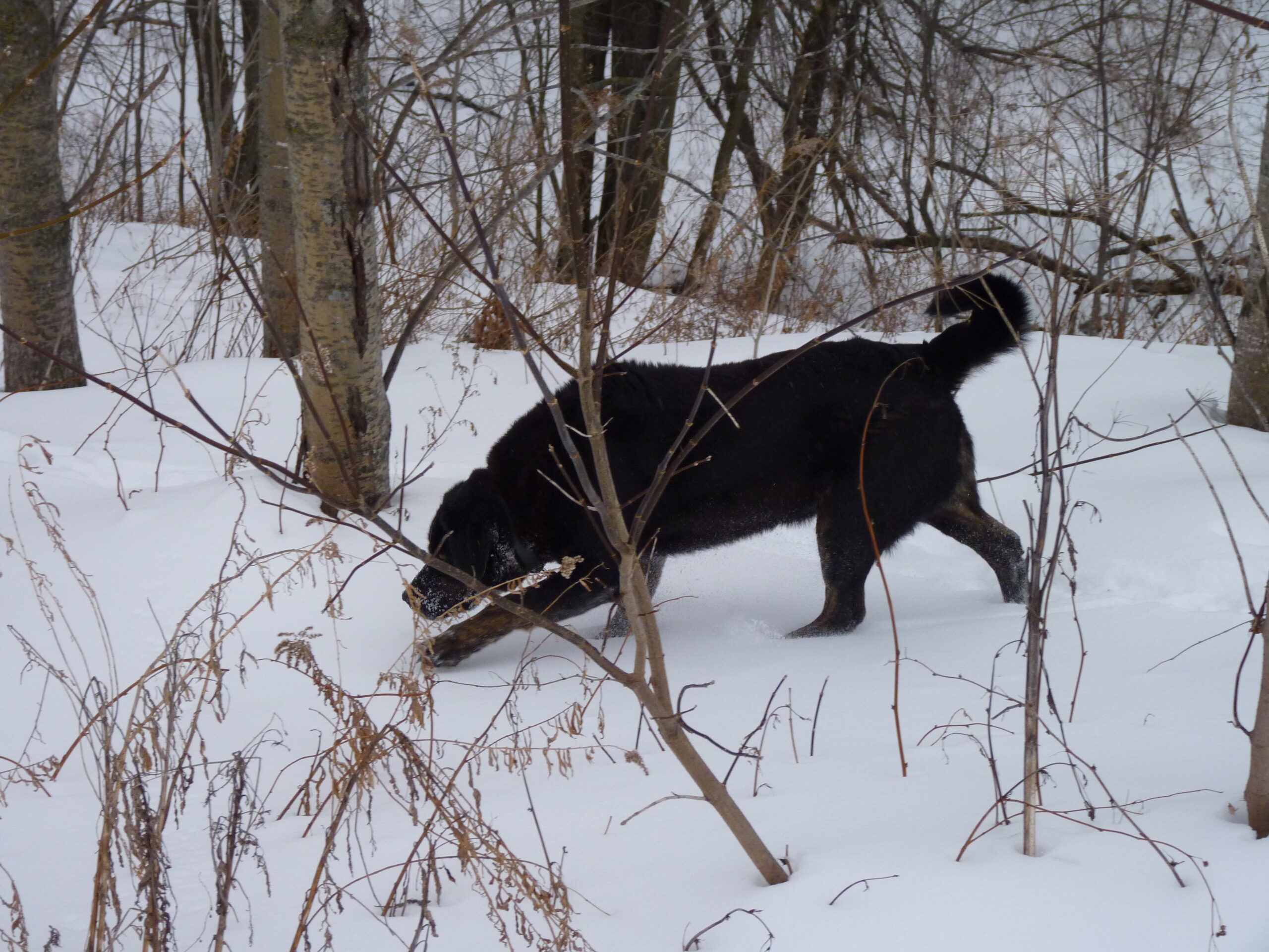 20100114-152912-Unknown-2010