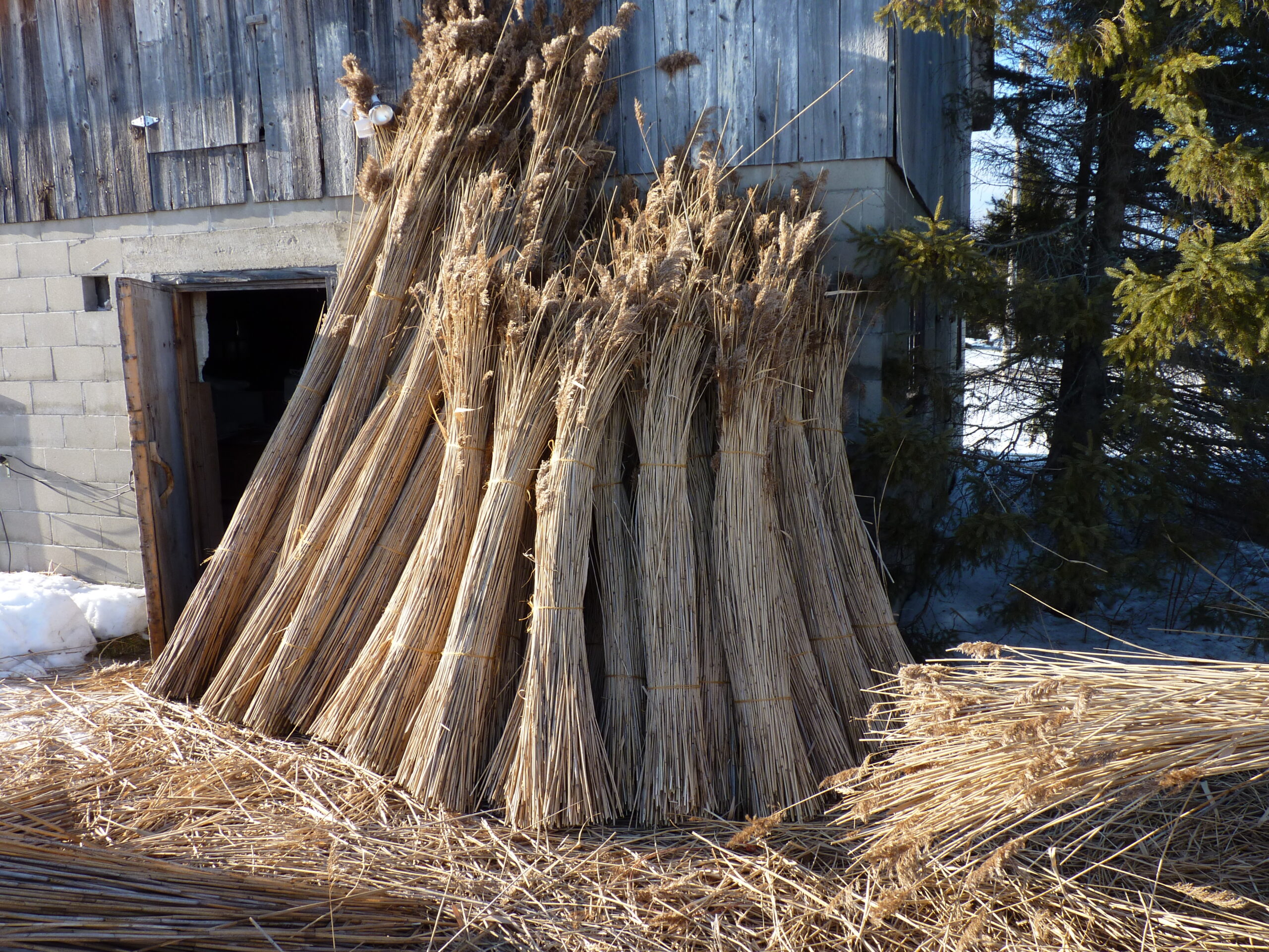 20100127-144355-Unknown-2010