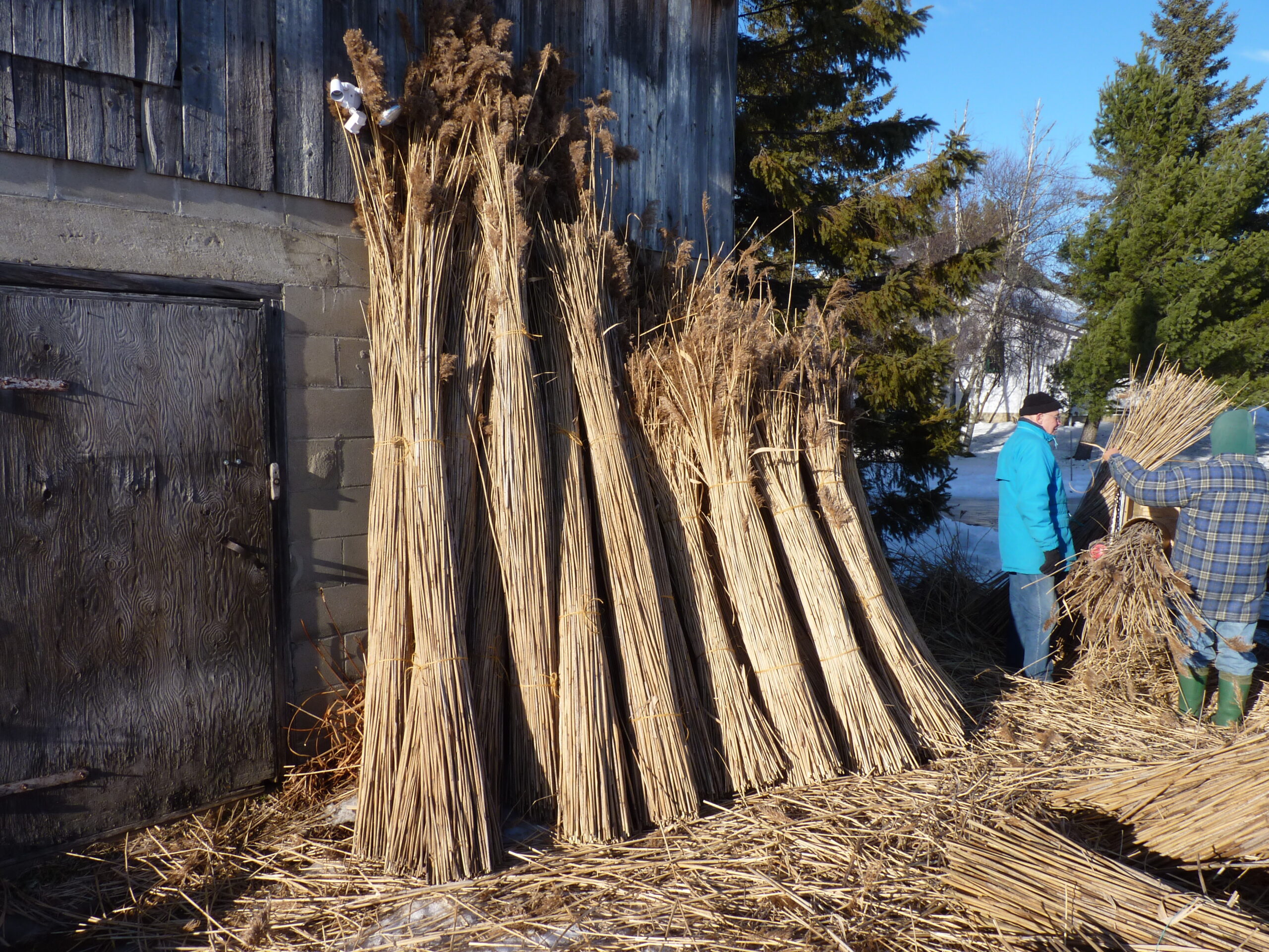 20100127-144432-Unknown-2010