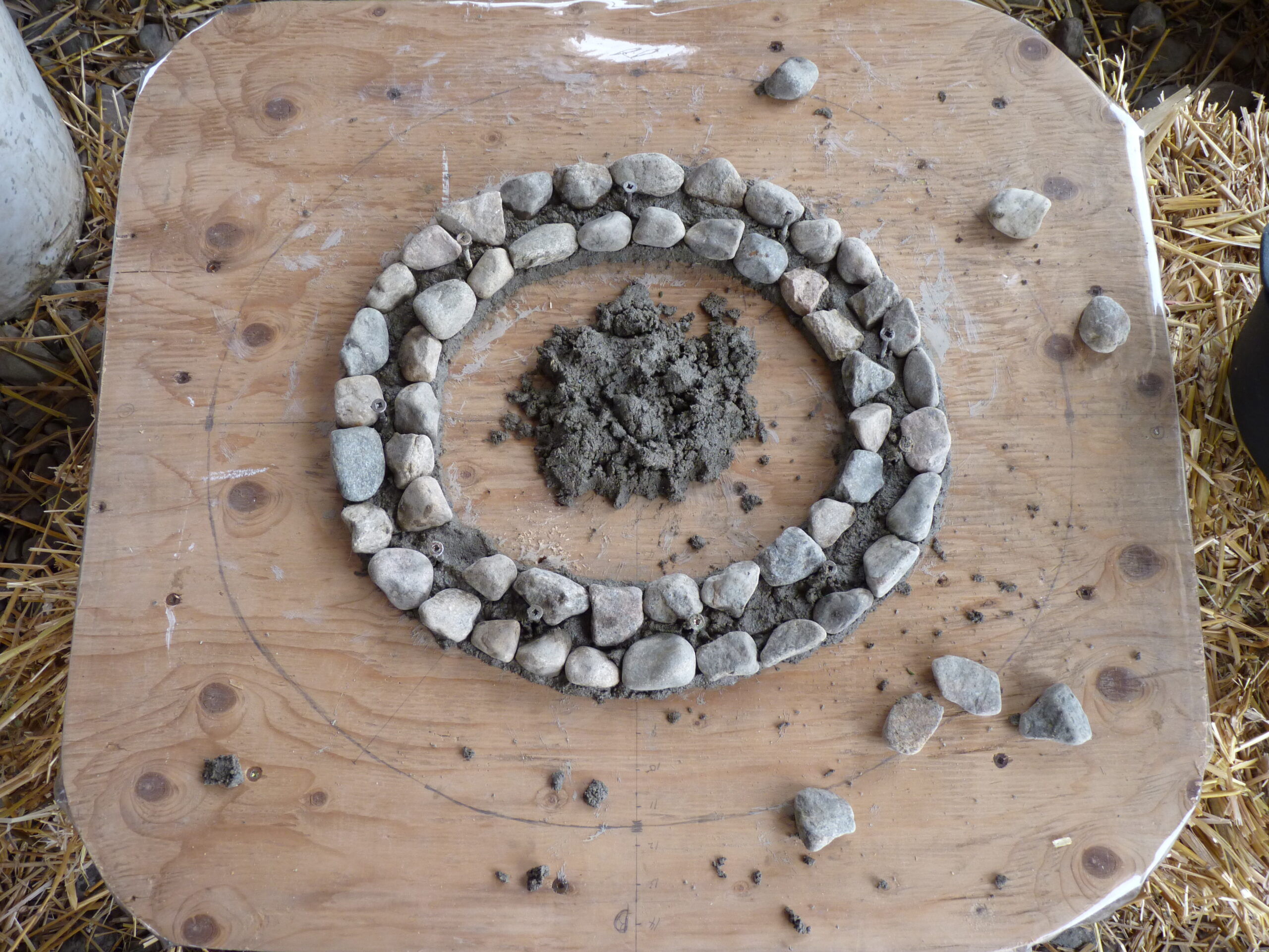 20100128-145034-Unknown-2010