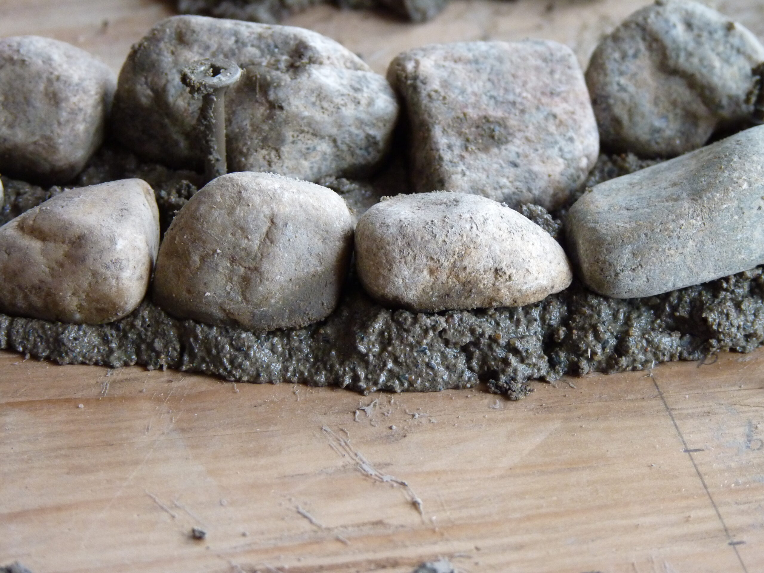 20100128-145053-Unknown-2010