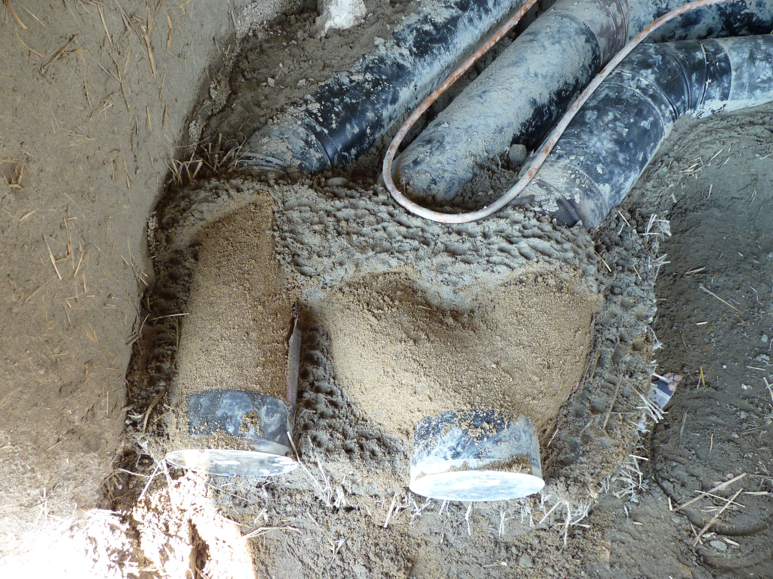 20100705-125919-Nature-2010