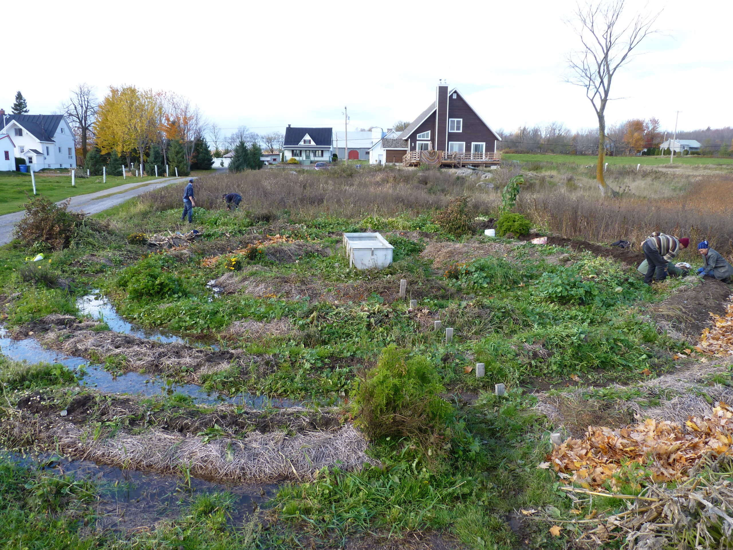 20101017-135829-Landscape-2010