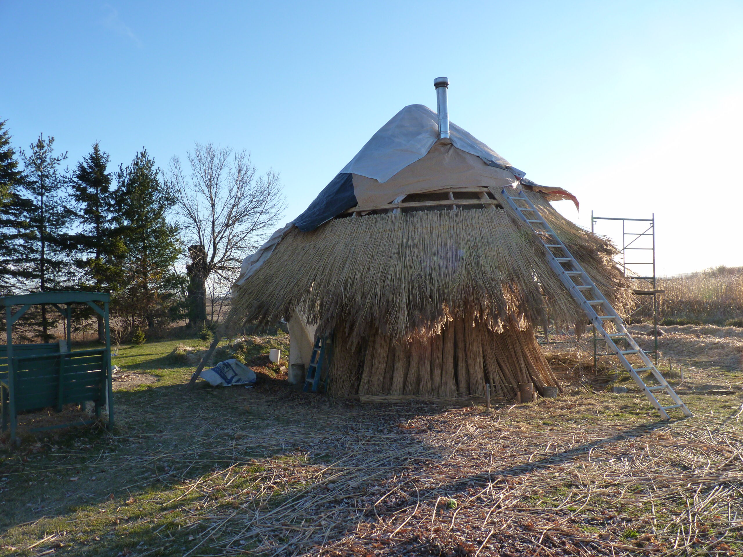 20101119-081553-Unknown-2010