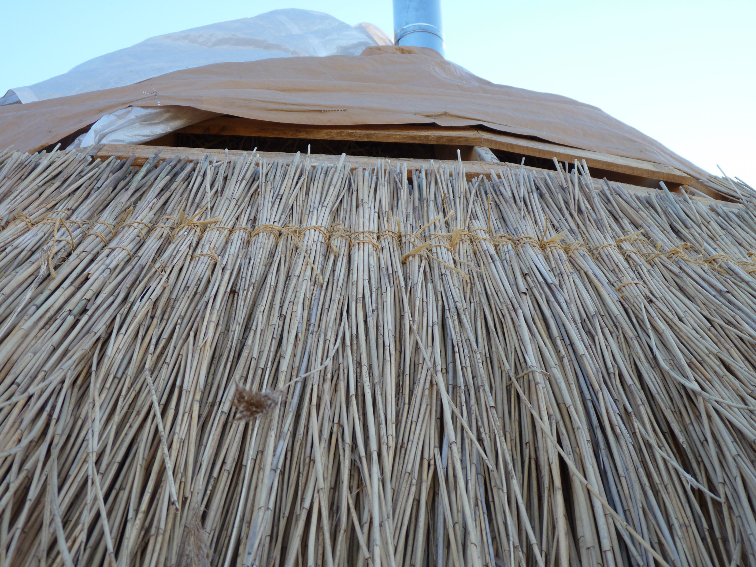 20101119-081700-Unknown-2010