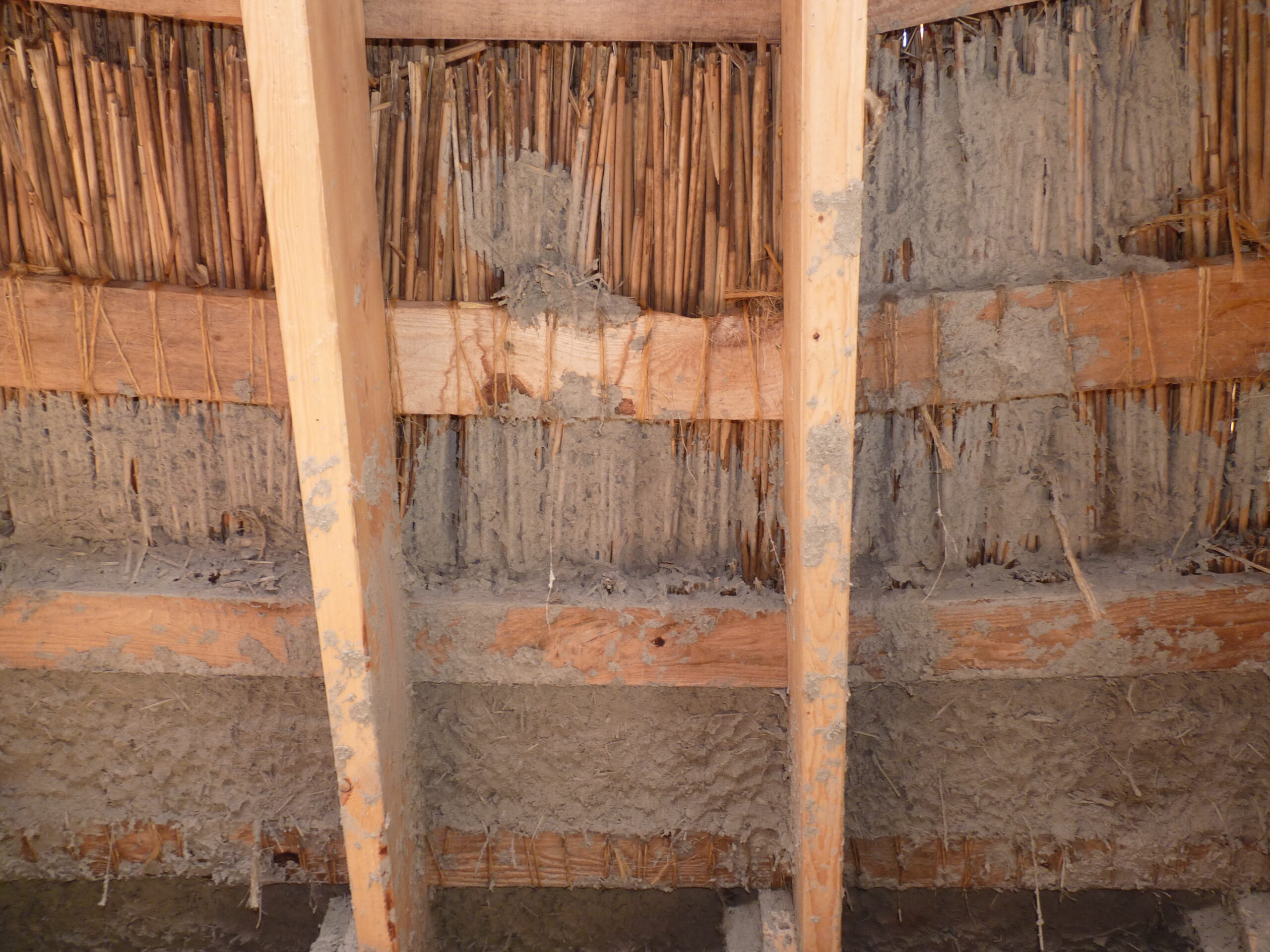 20110712-105224-Basket-2011