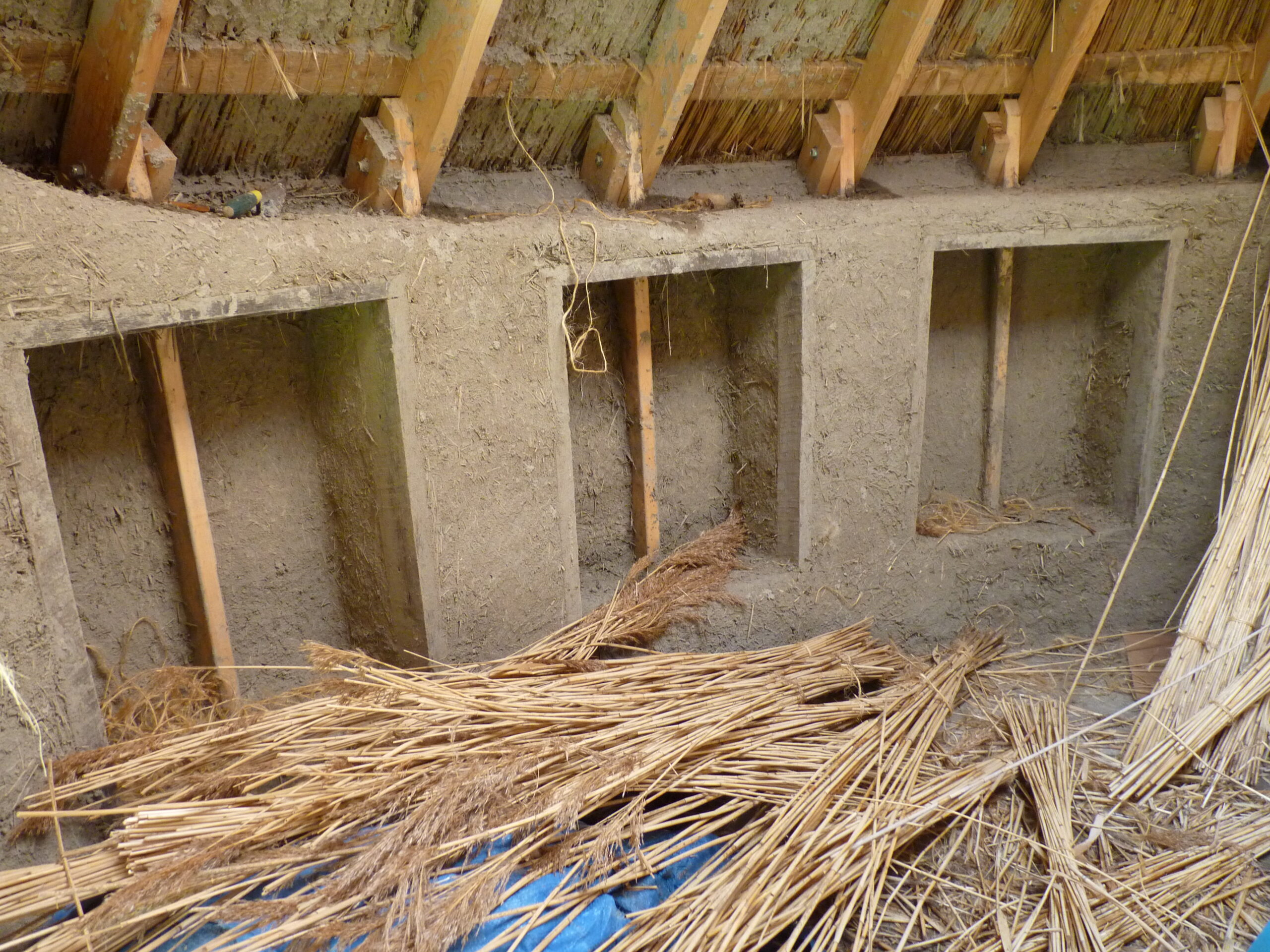 20110712-105258-Unknown-2011