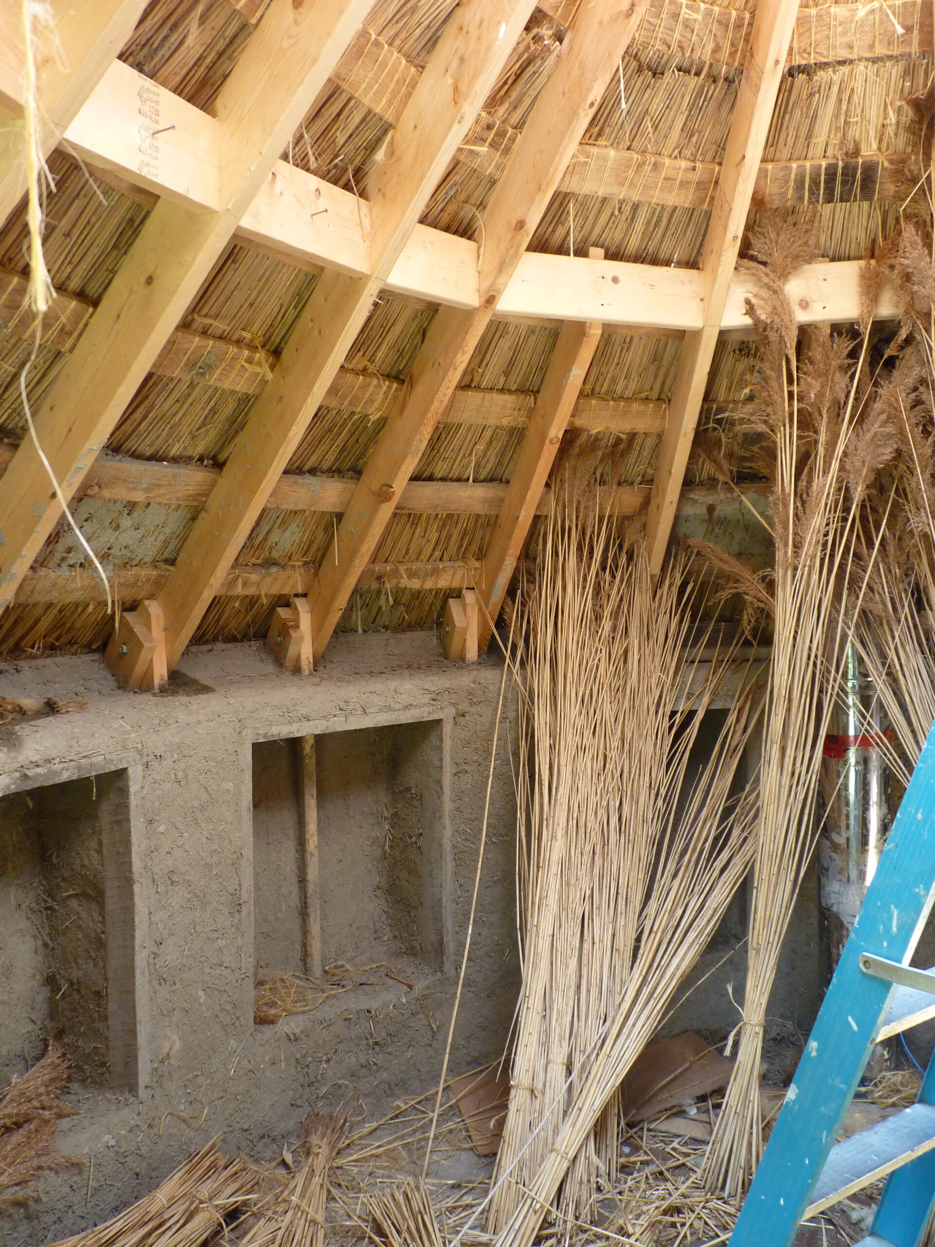 20110712-105415-Shelter-2011