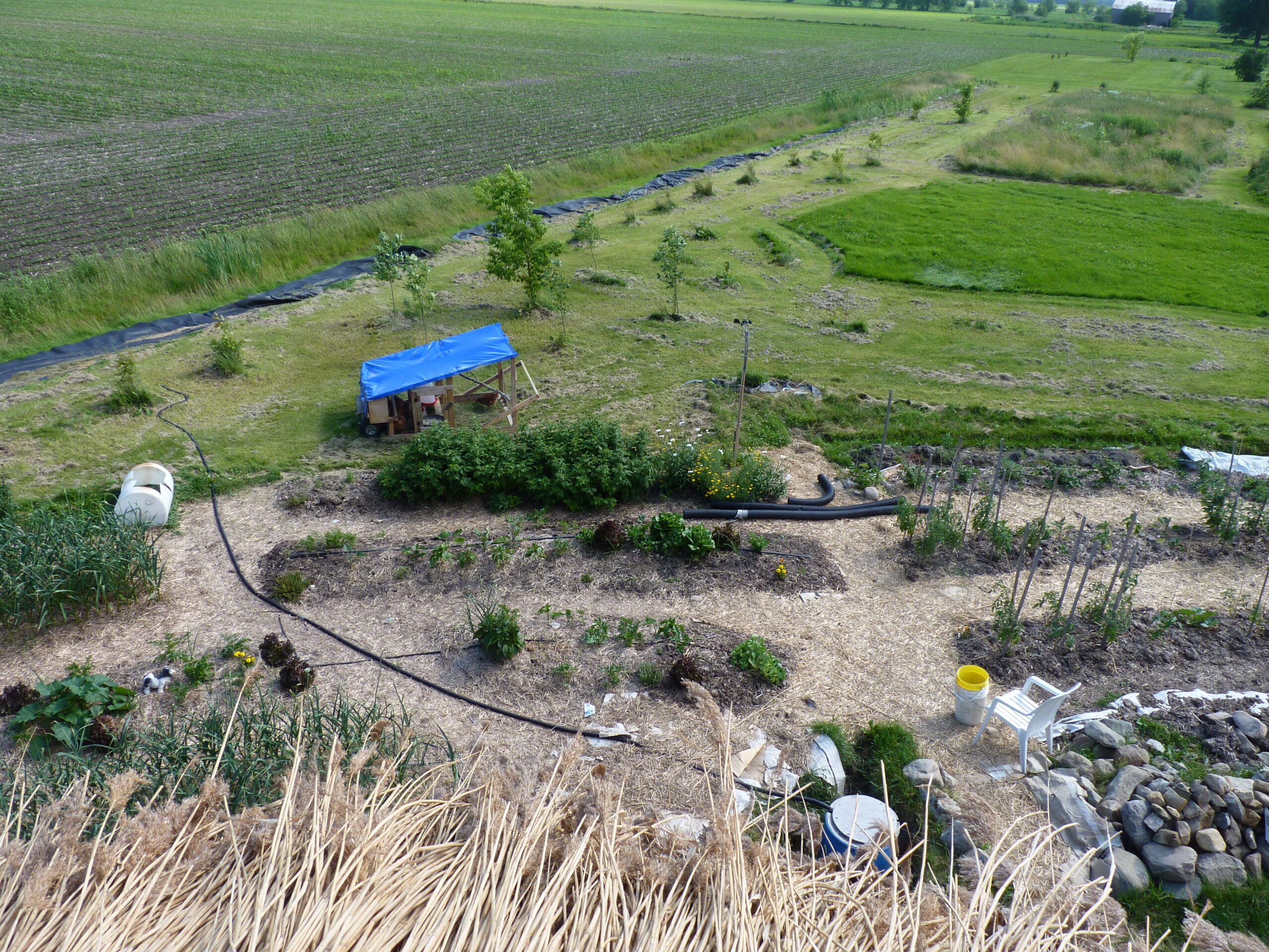 20110712-151109-Landscape-2011