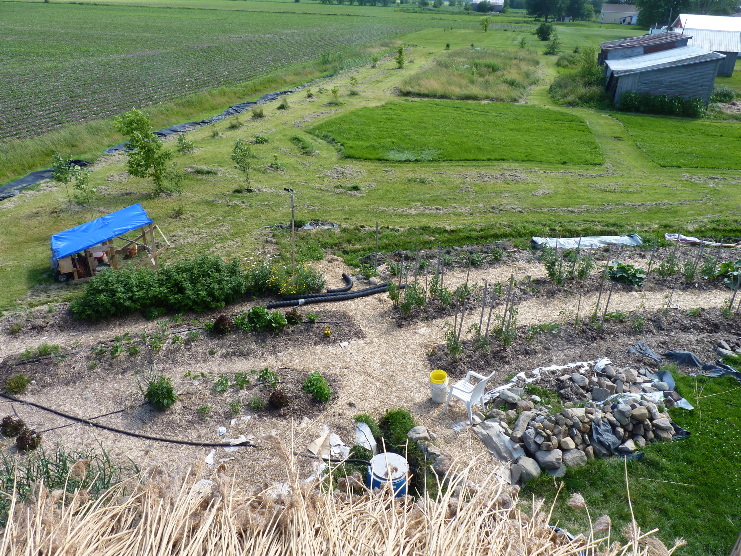 20110712-151116-Landscape-2011