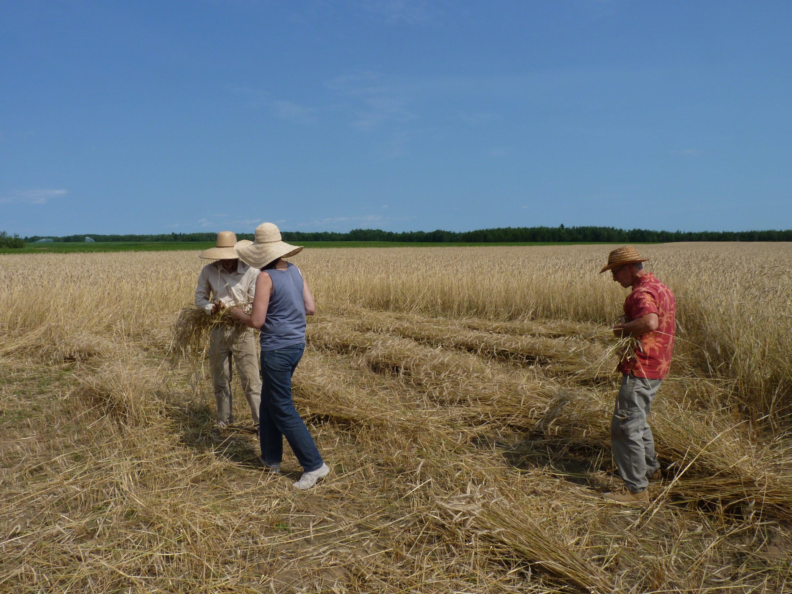 20110719-141925-Landscape-2011