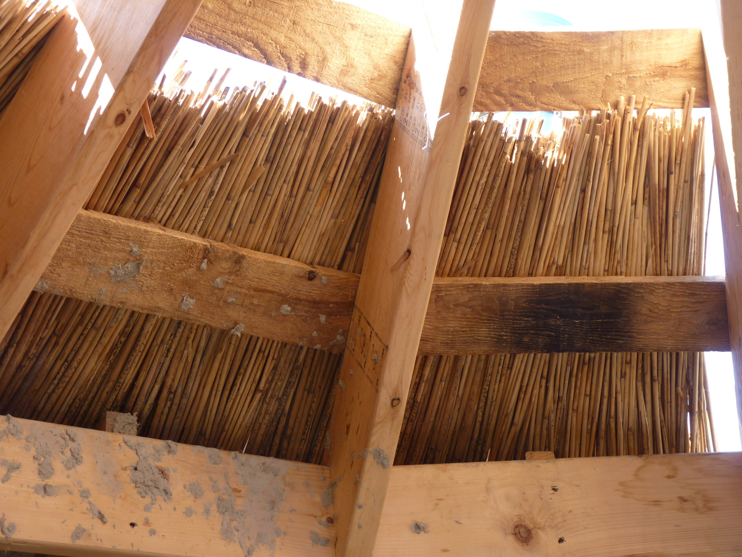 20110724-104613-Unknown-2011