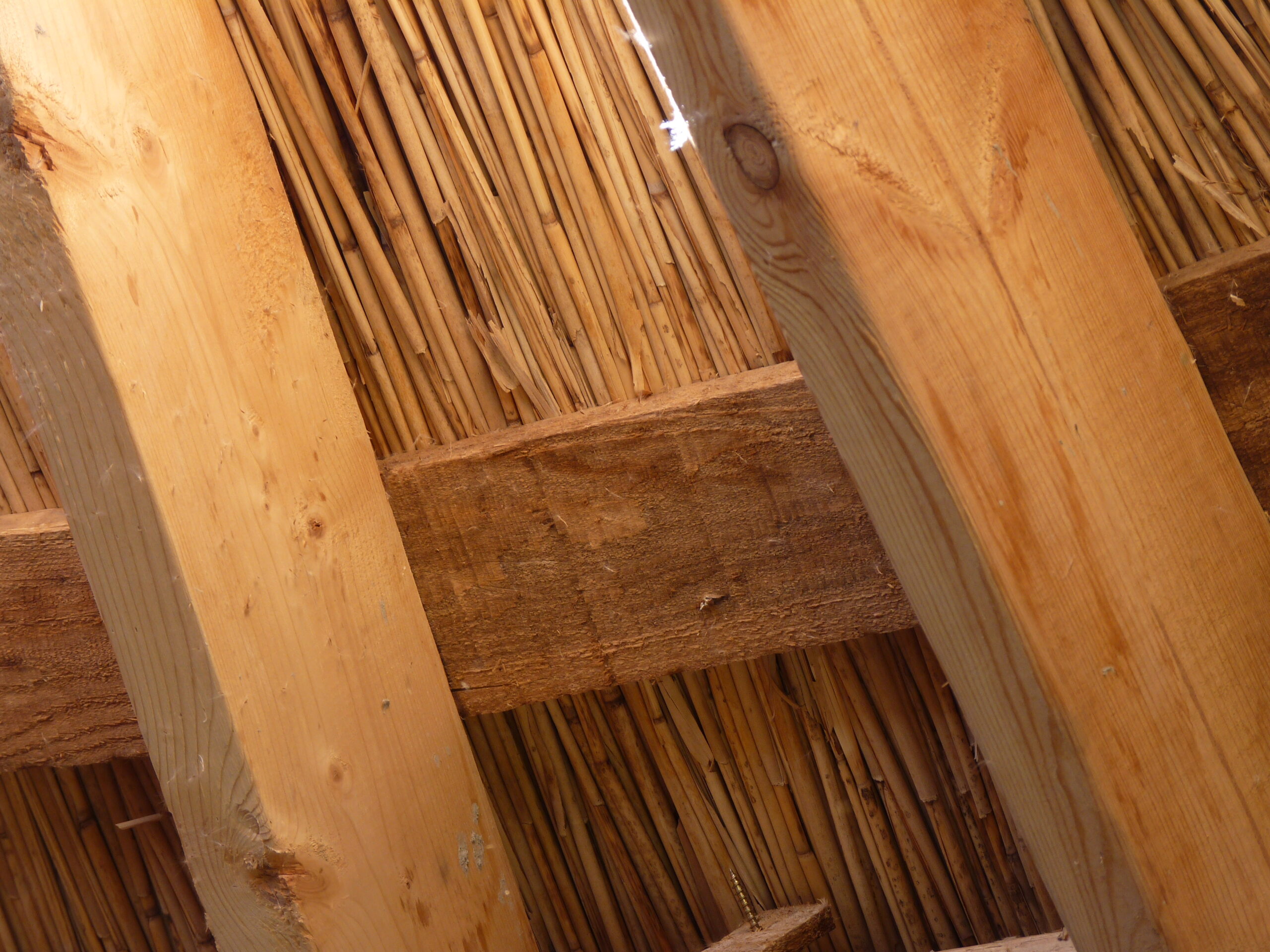 20110724-150202-Unknown-2011