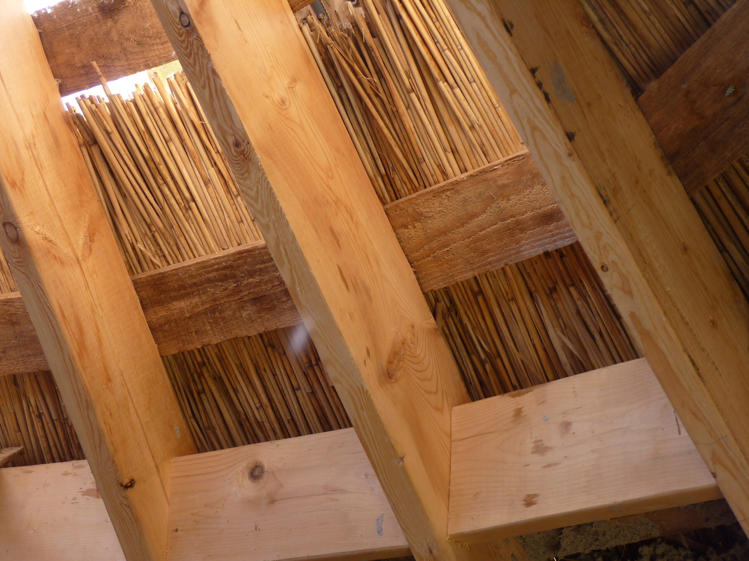 20110724-150212-Unknown-2011