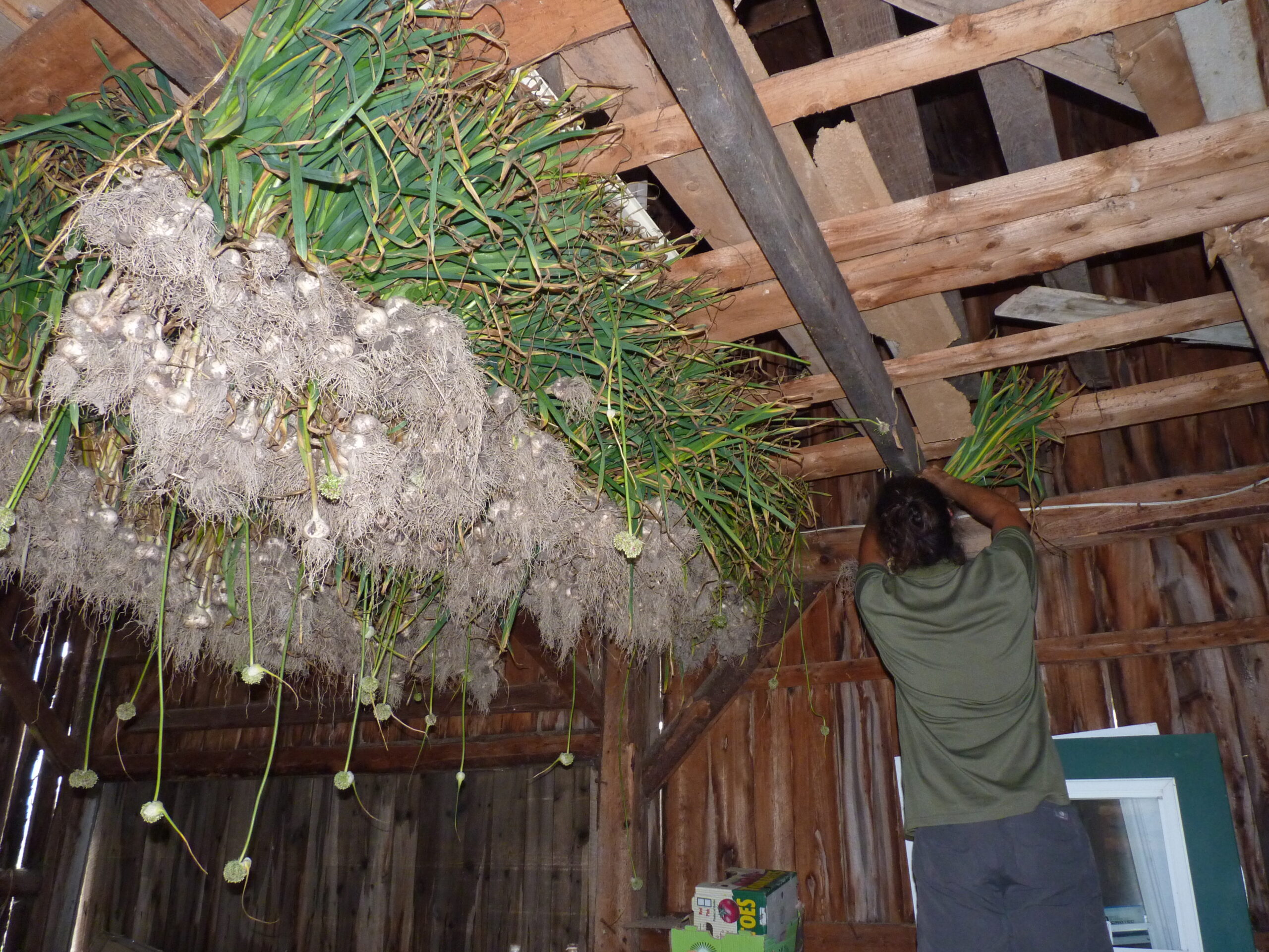 20110801-161134-Outdoor-2011