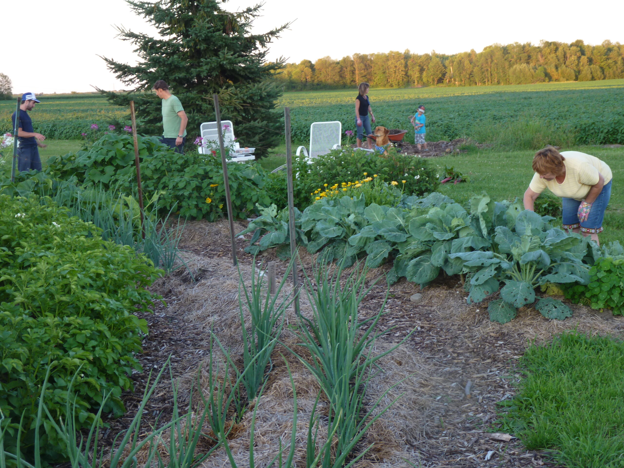 20110808-185930-Unknown-2011