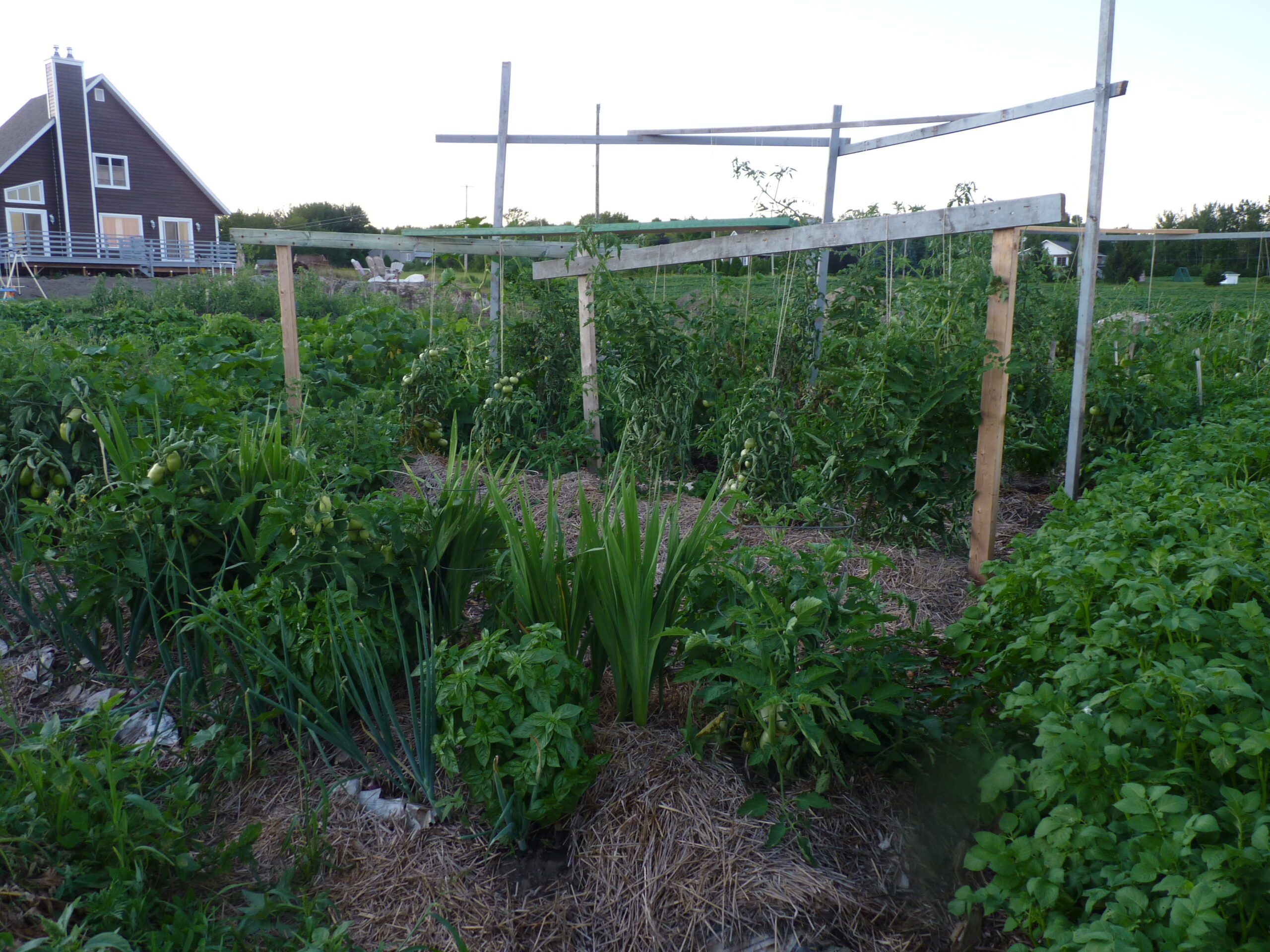 20110808-190442-Outdoor-2011