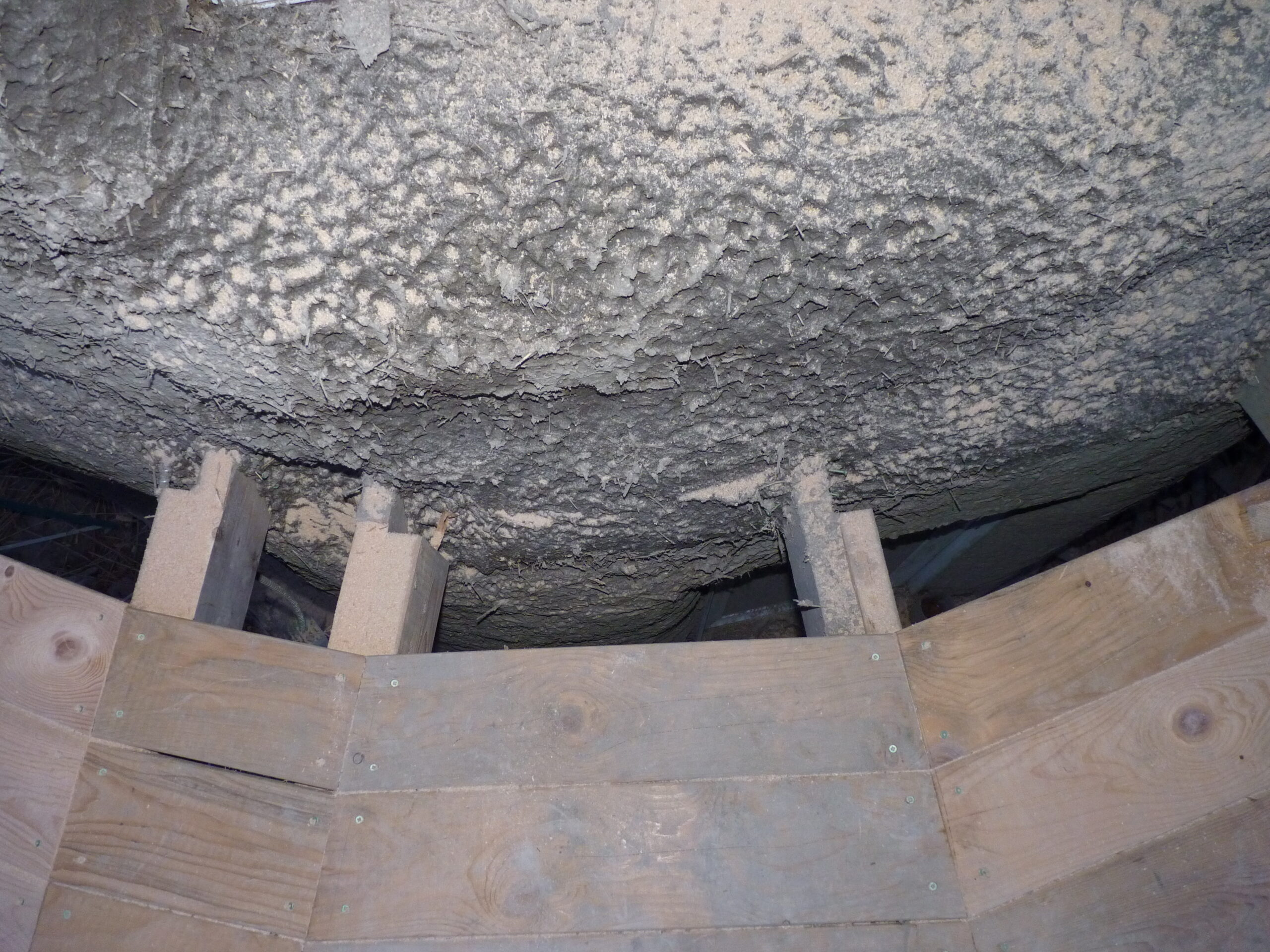 20110923-180214-Unknown-2011