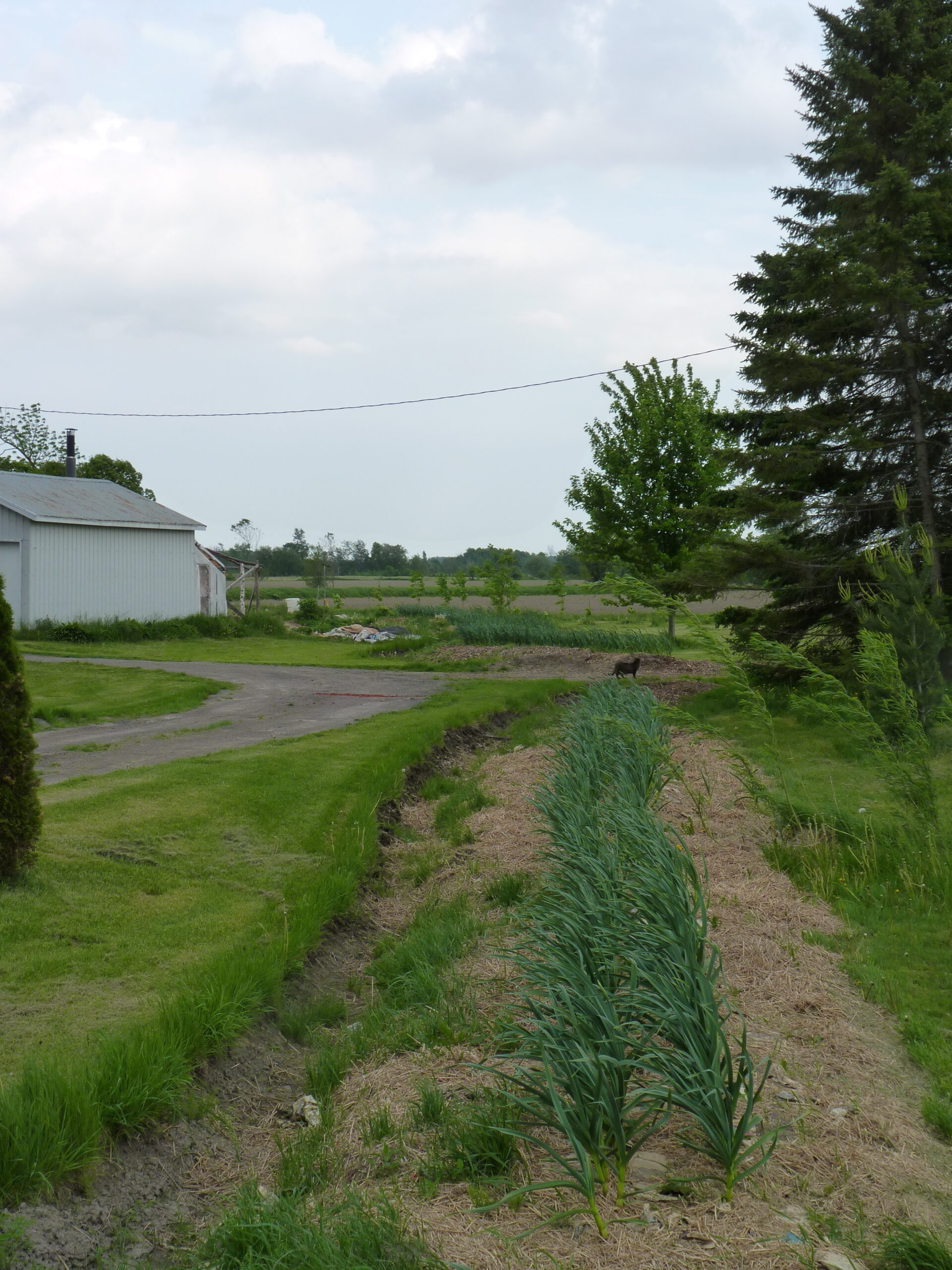 20120525-160558-Unknown-2012