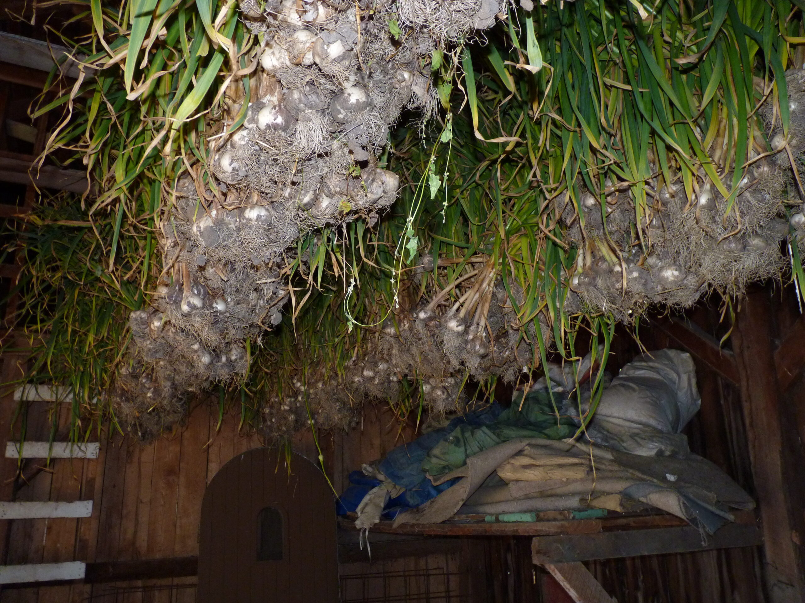 20120721-174019-Unknown-2012