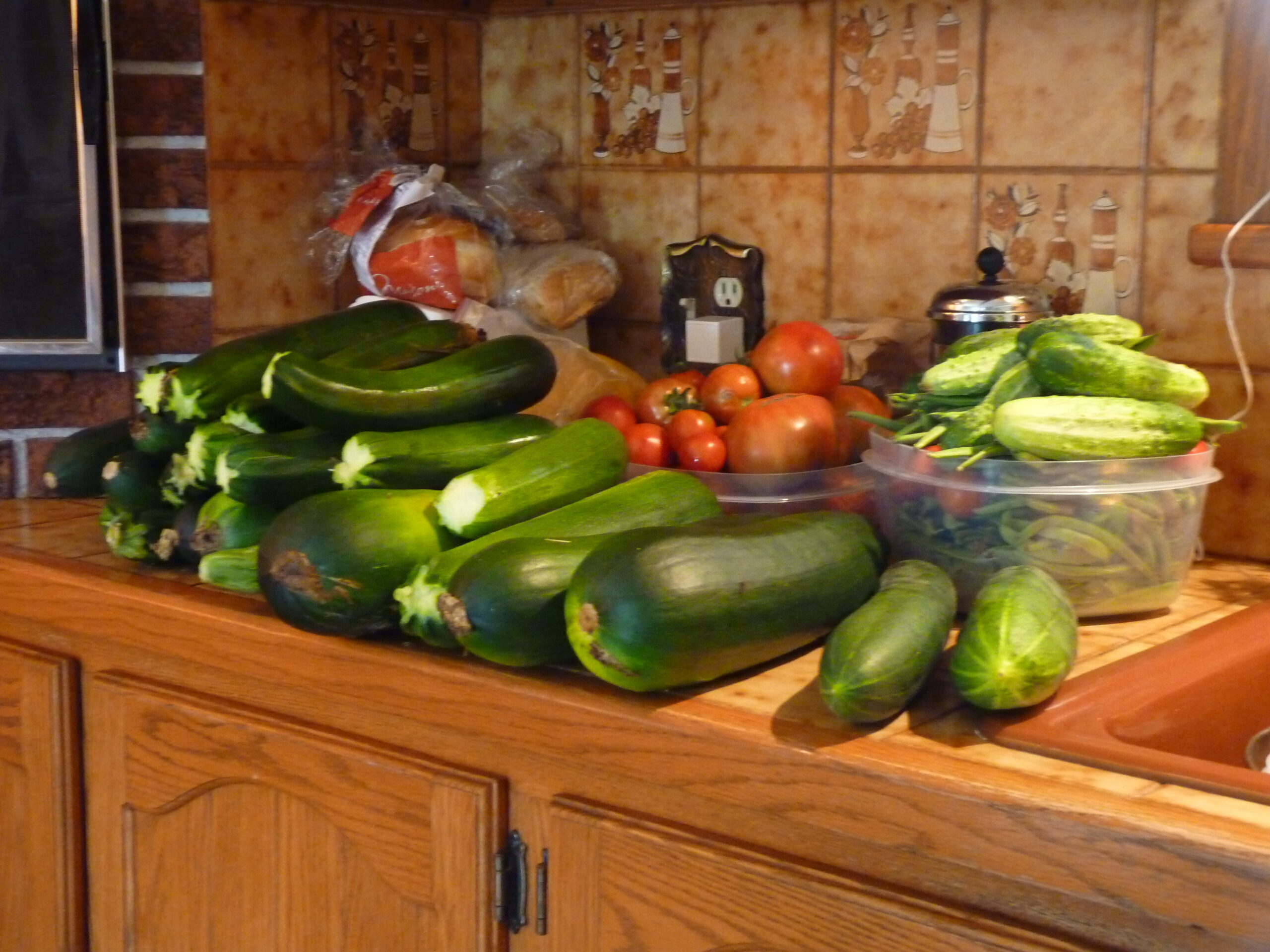 20120806-113713-Saint-Lin-Laurentides-2012