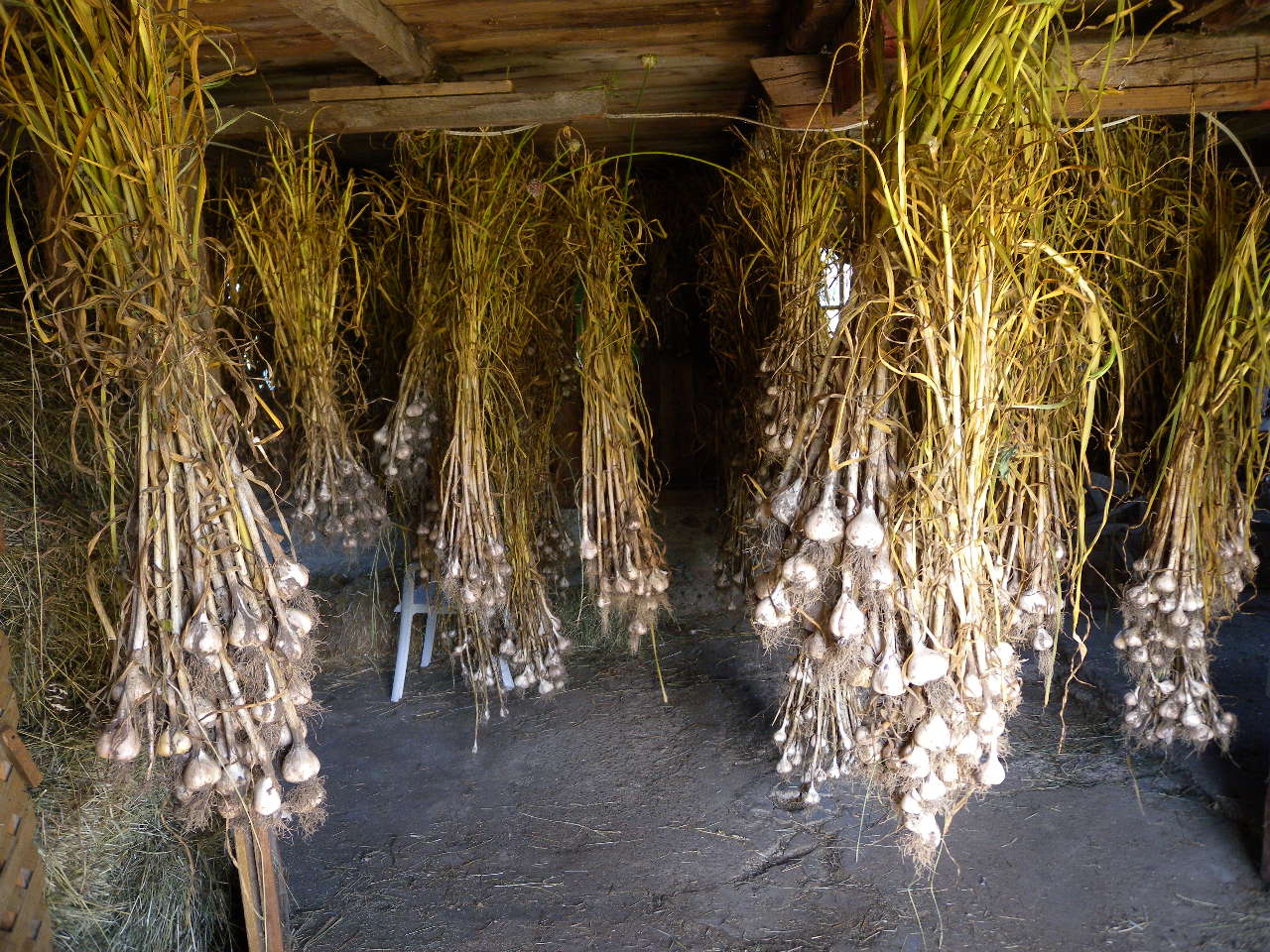 20120807-095917-Unknown