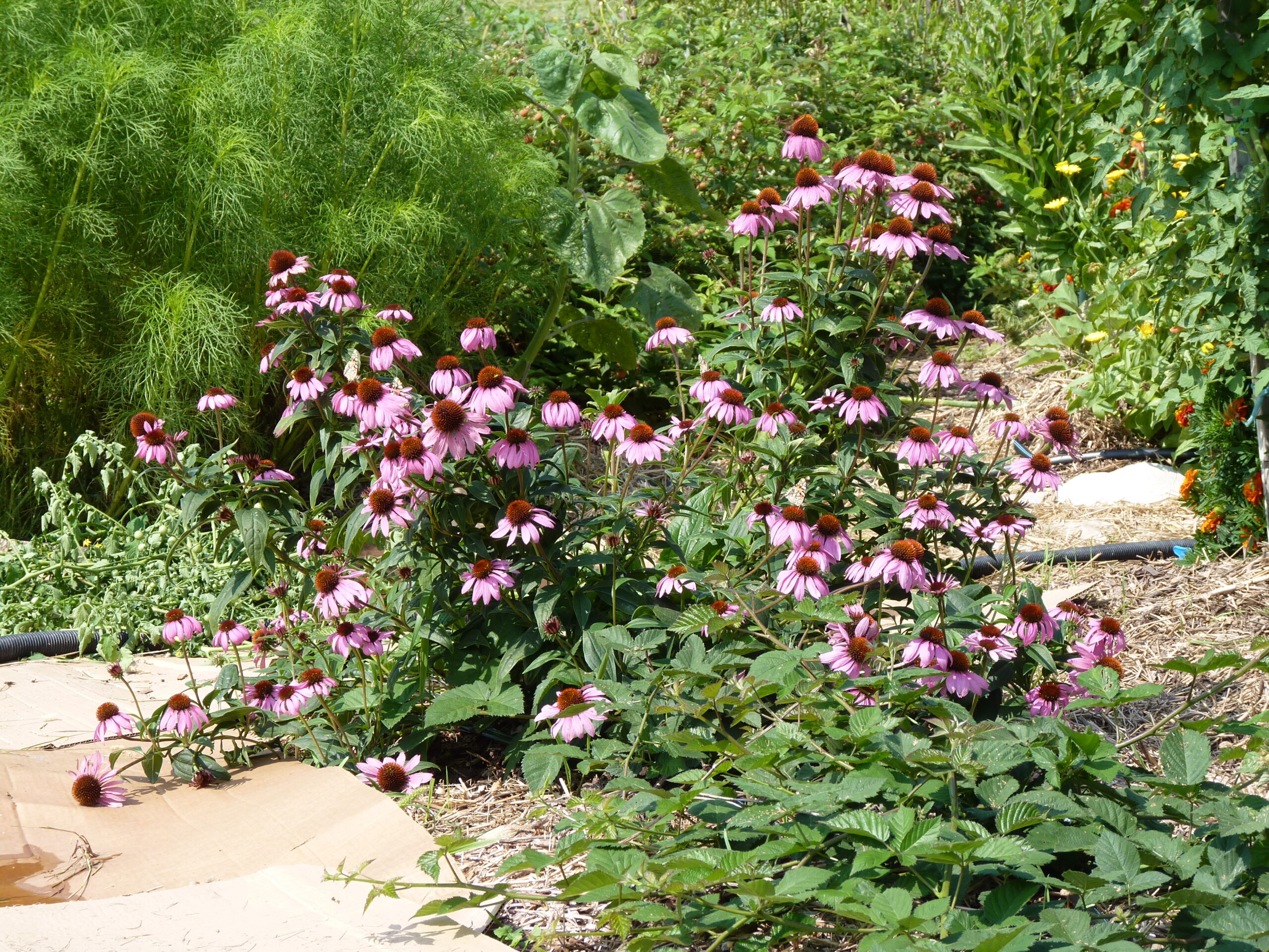 20120816-102948-Unknown-2012