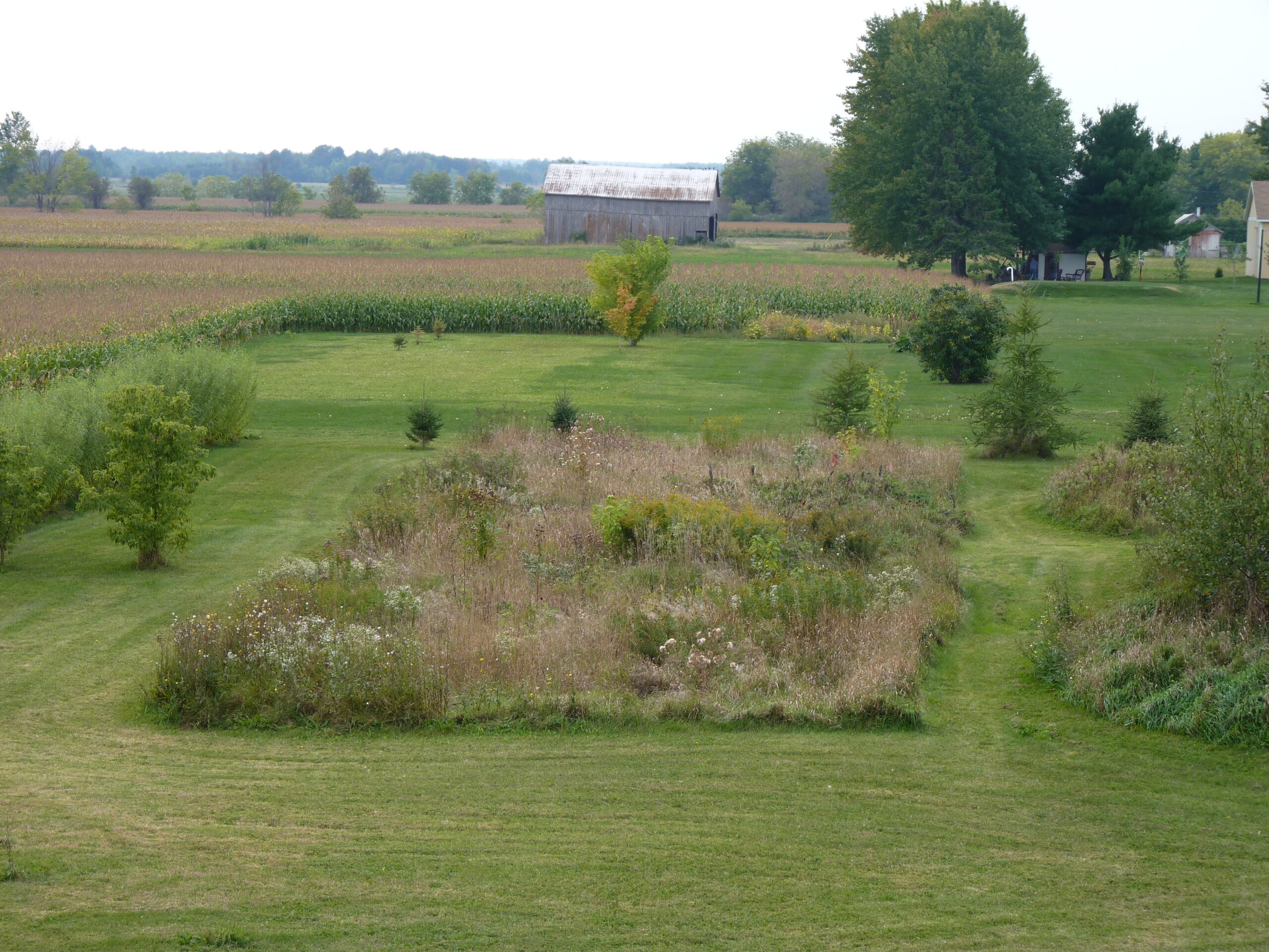 20120914-123124-Landscape-2012