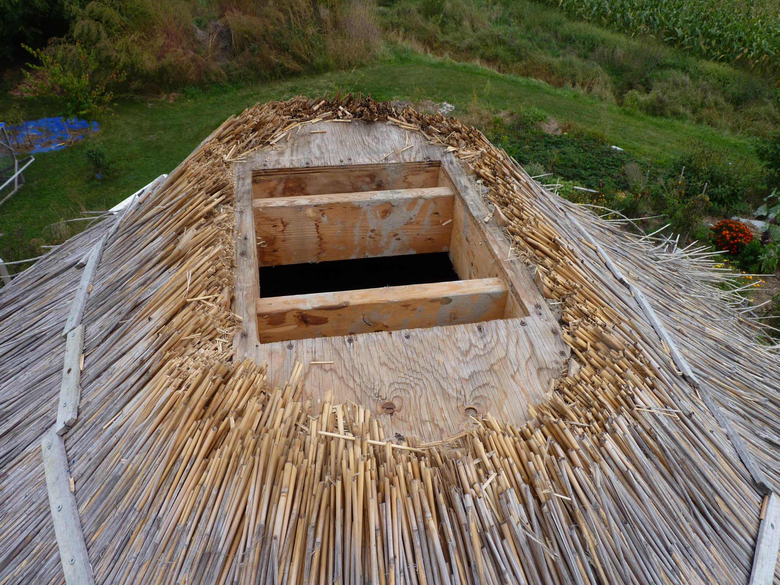 20120914-123211-Landscape-2012