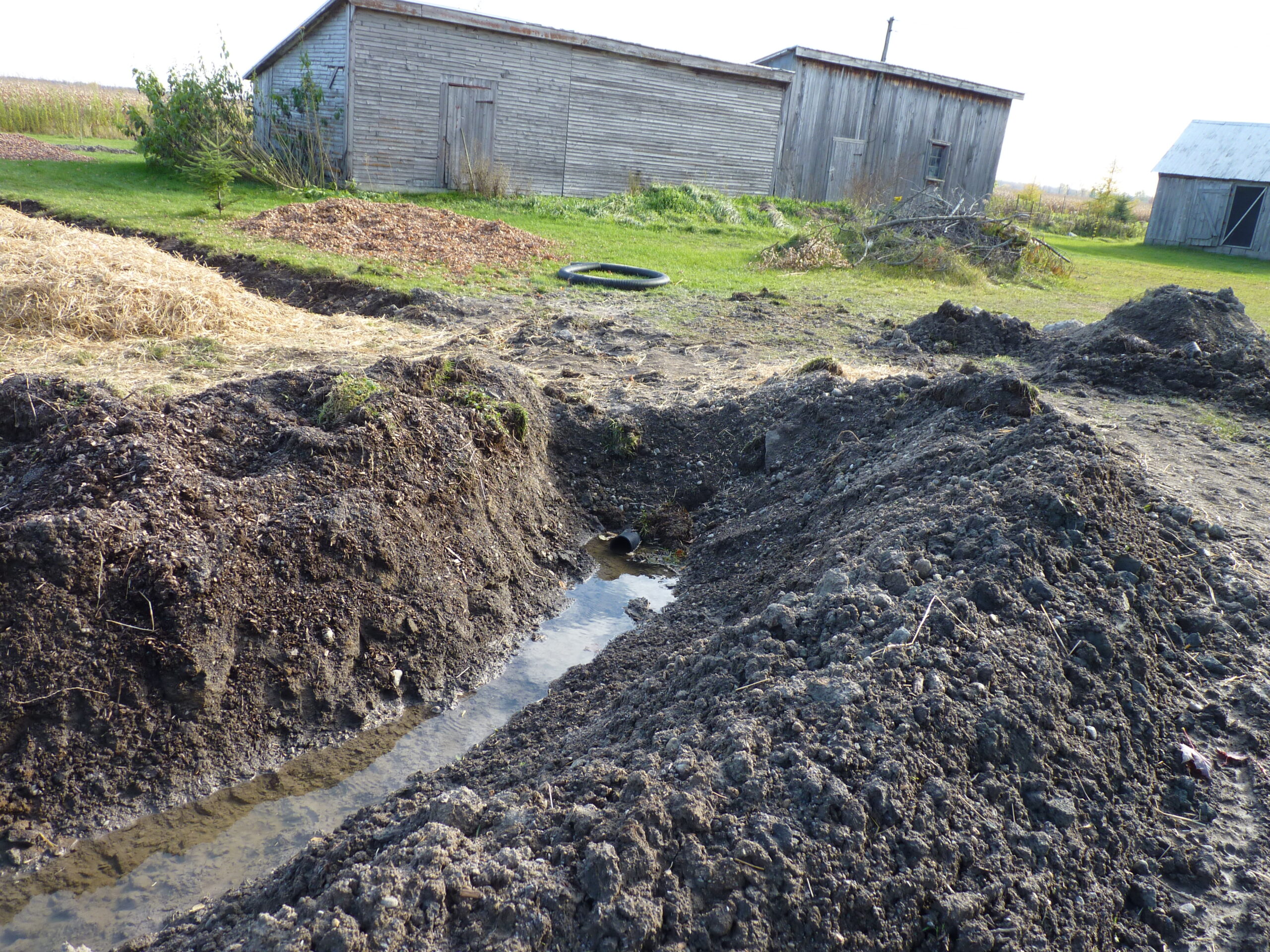 20121017-143914-Unknown-2012