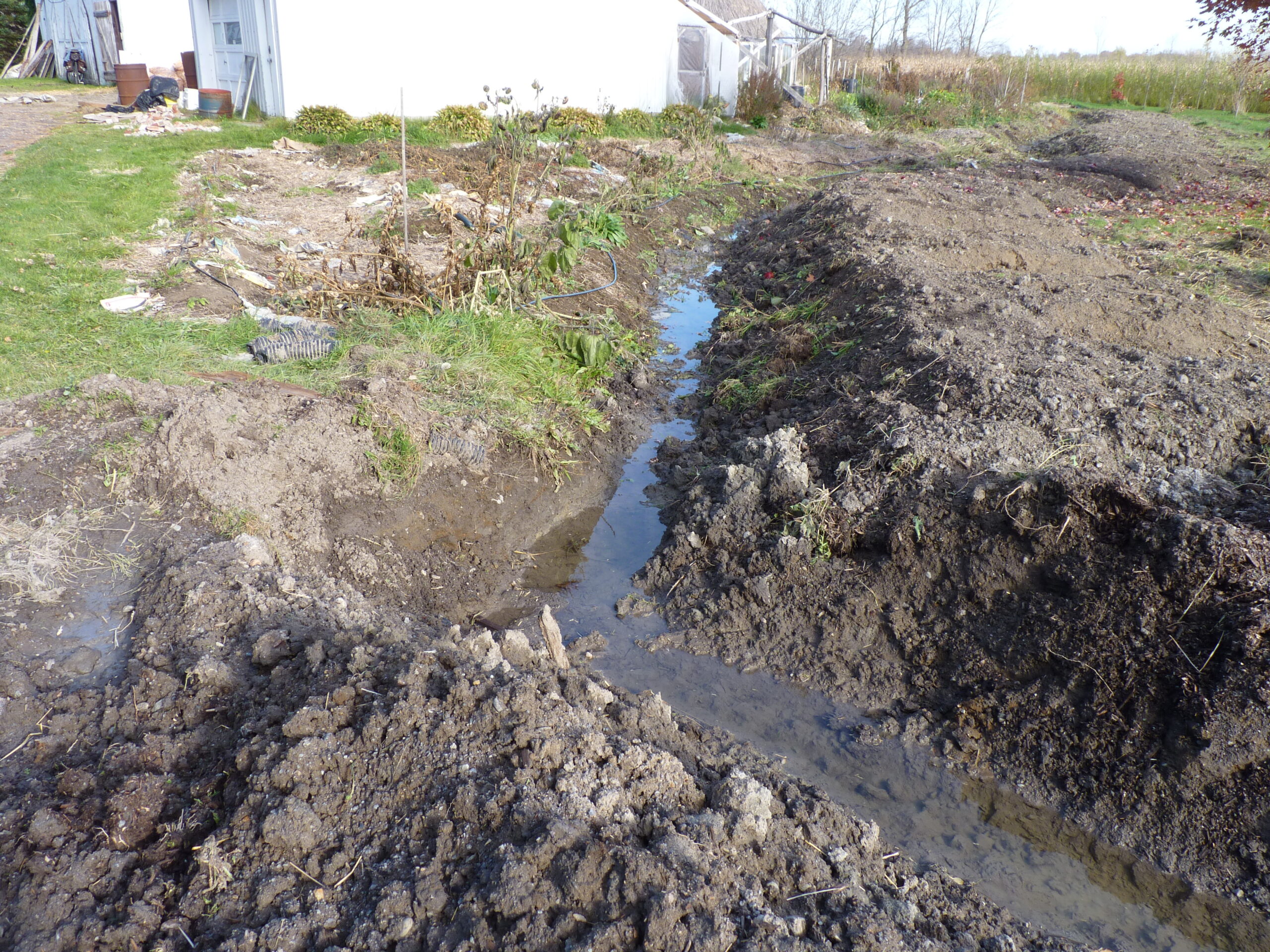 20121017-143922-Unknown-2012