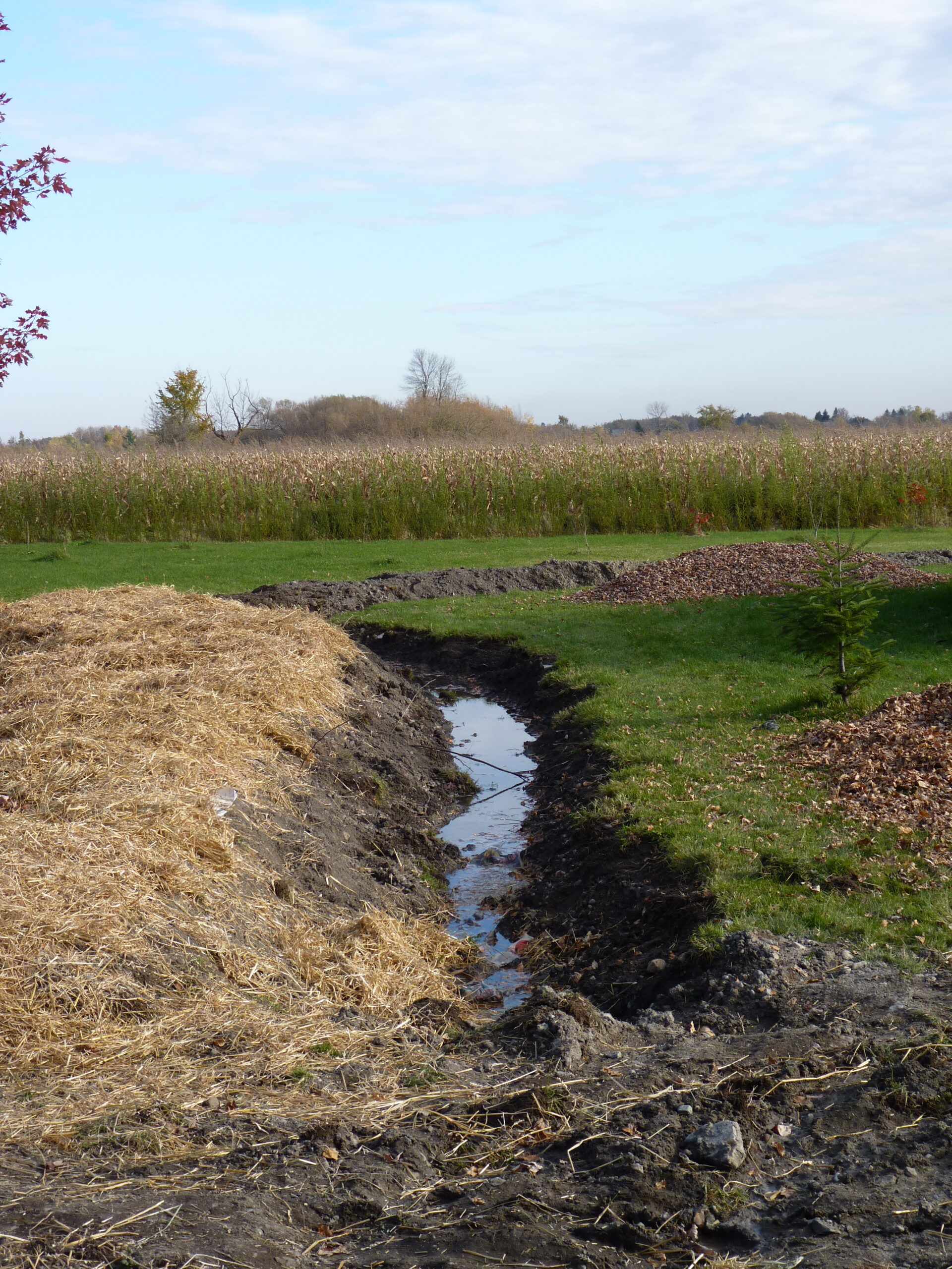 20121017-143936-Unknown-2012 (1)