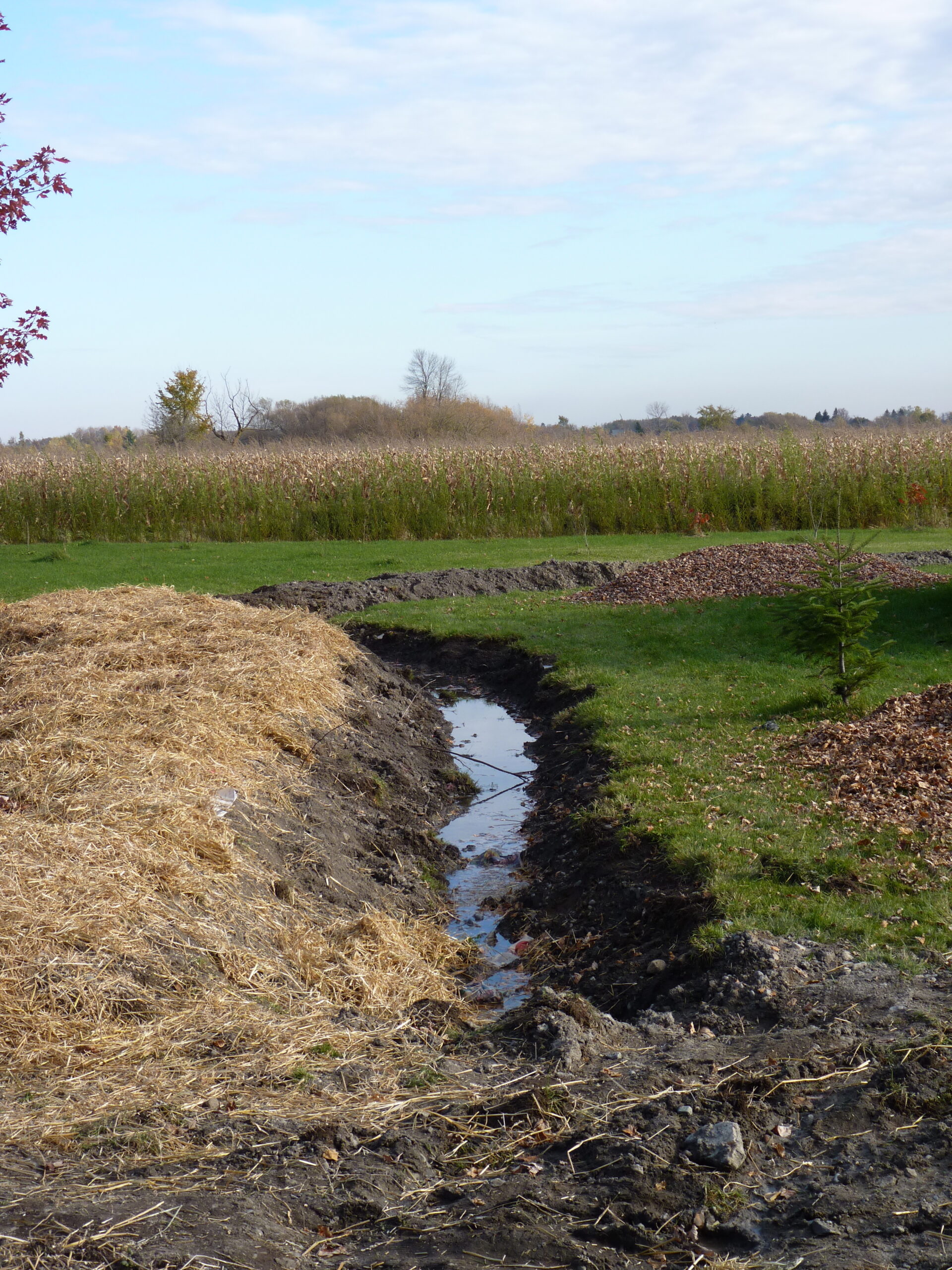 20121017-143936-Unknown-2012