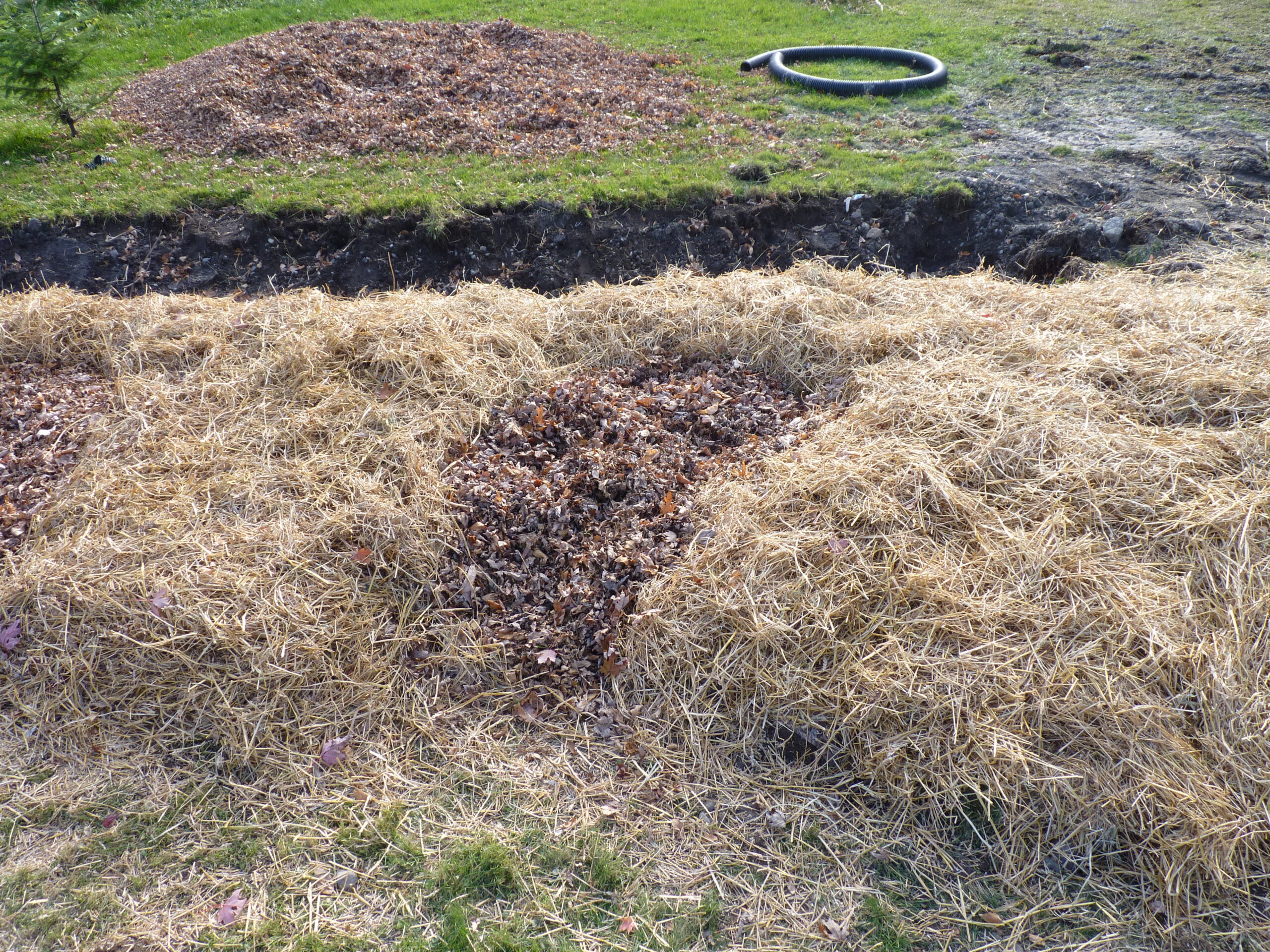 20121017-143953-Unknown-2012