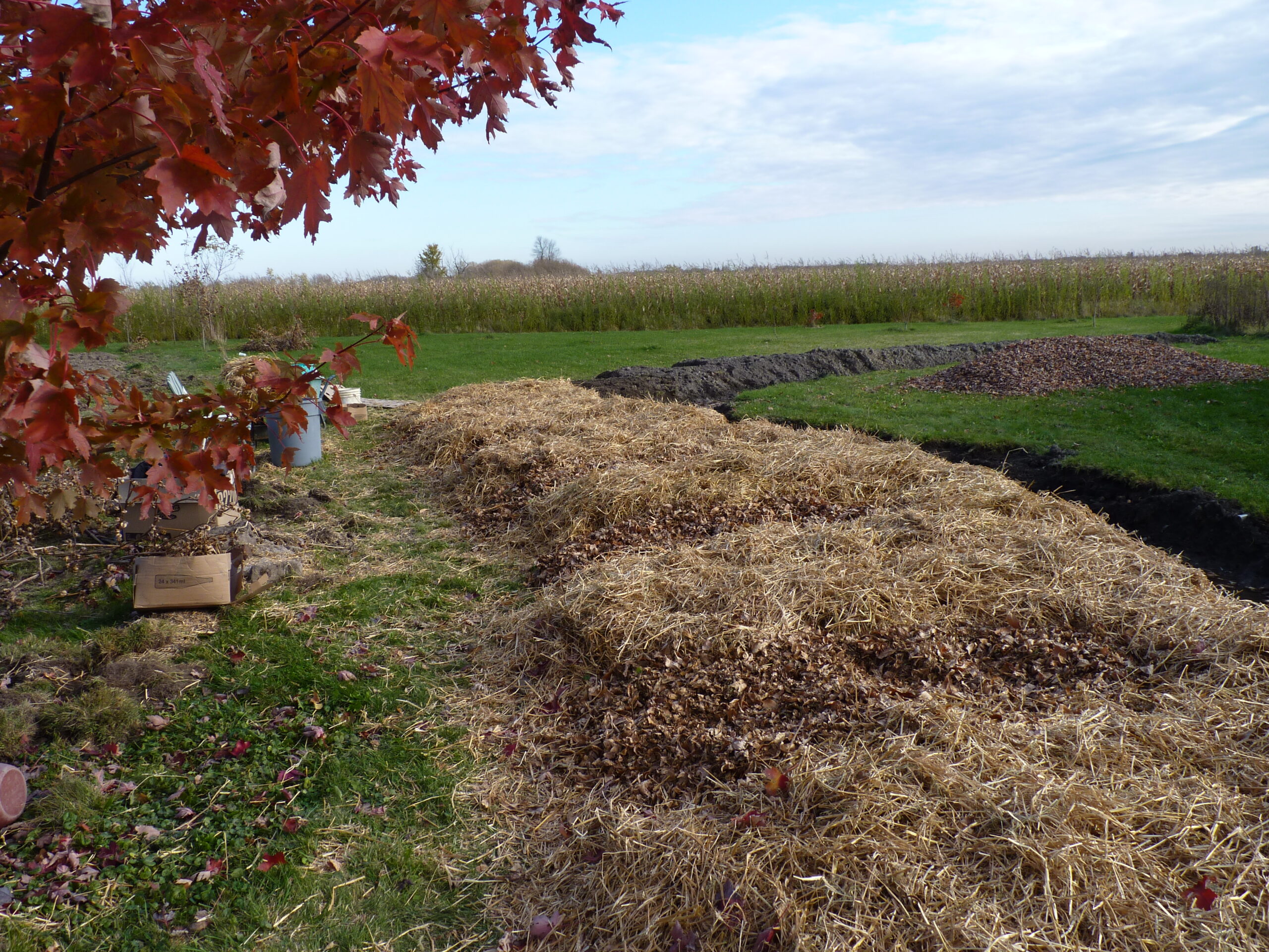 20121017-144008-Landscape-2012