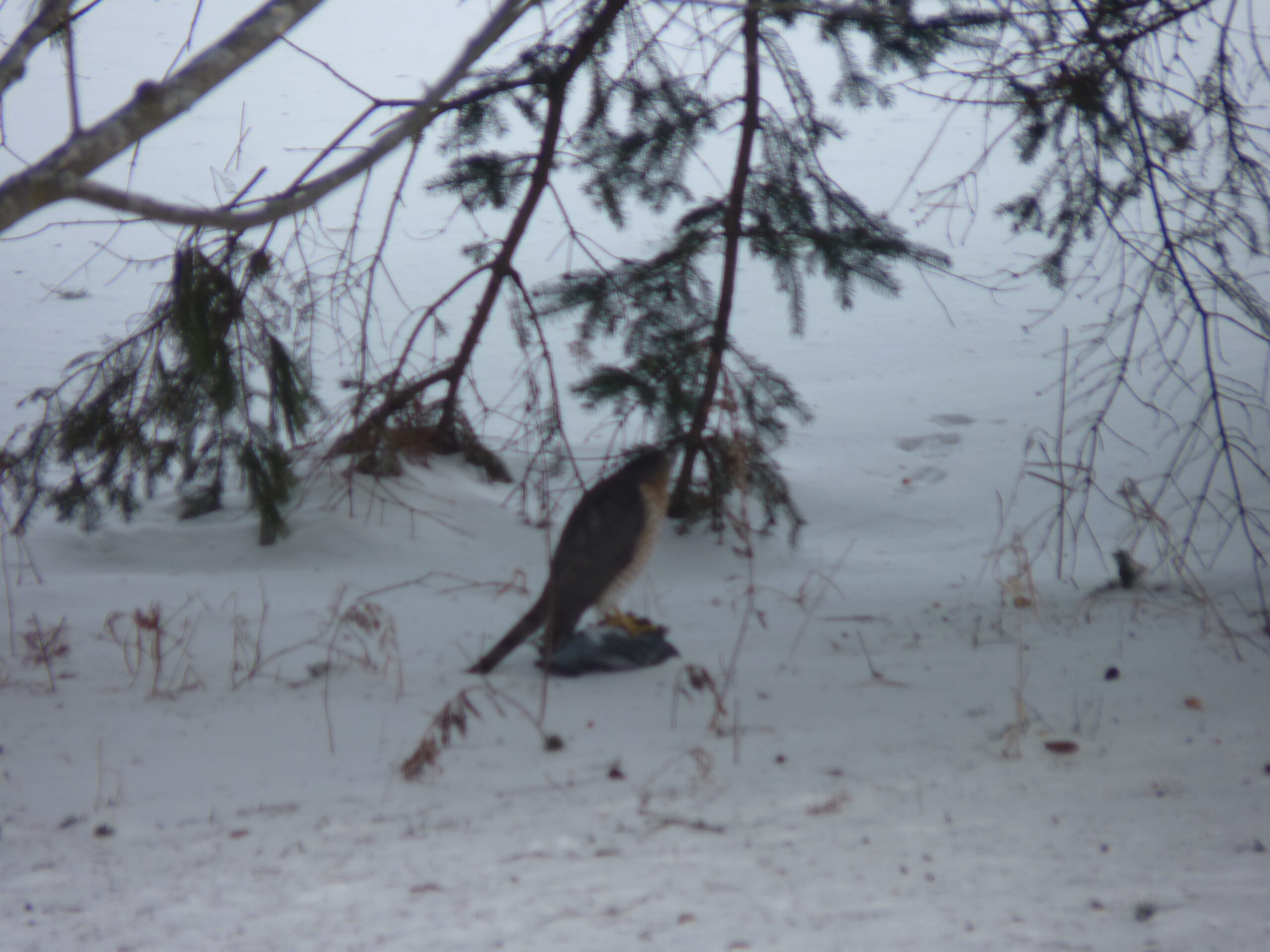 20130103-111938-Unknown-2013